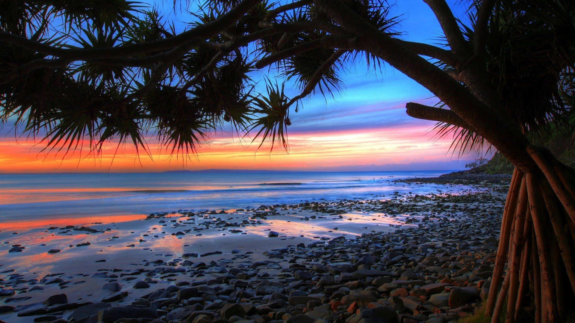 Aesthetic Beach Laptop Trees Sunset Background