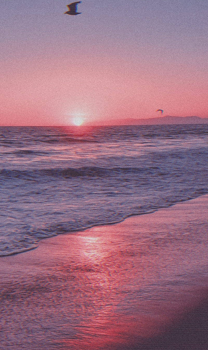 Aesthetic Beach Pink Sunset Background