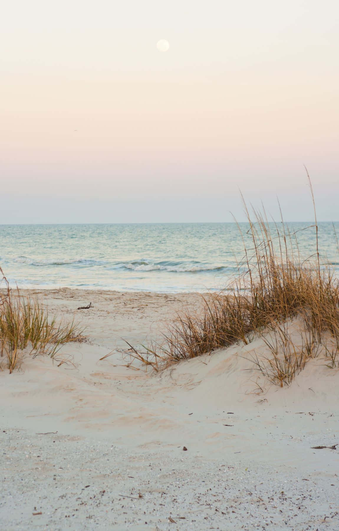 Aesthetic Beach Scene Sunset View