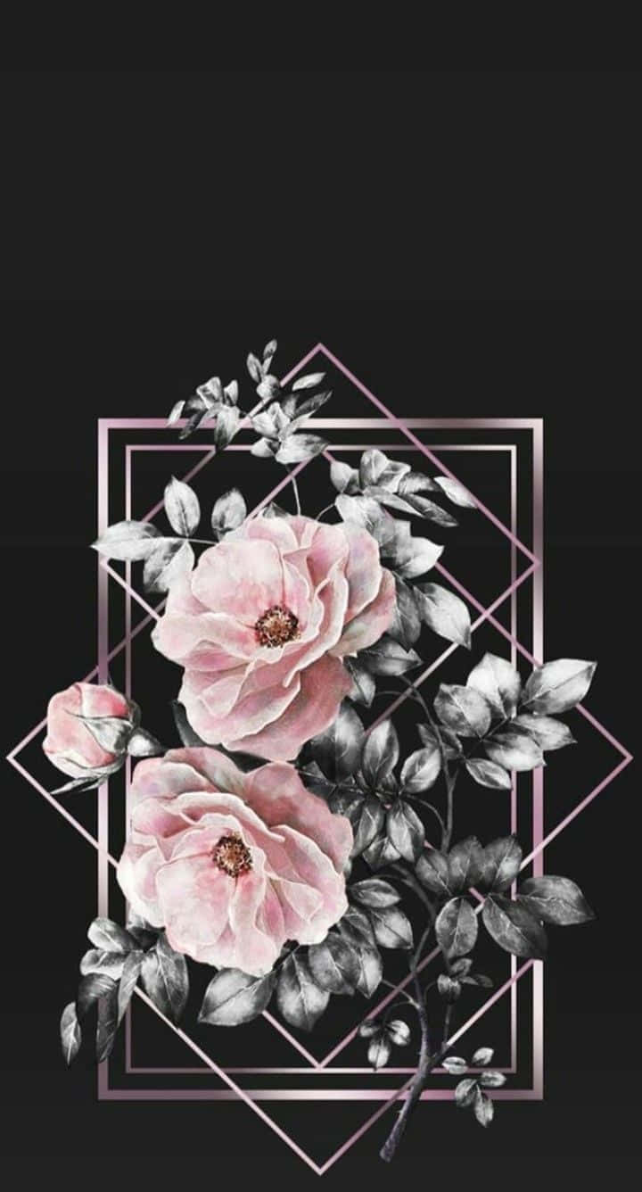 Aesthetic Beauty Of Black And White Flower Background