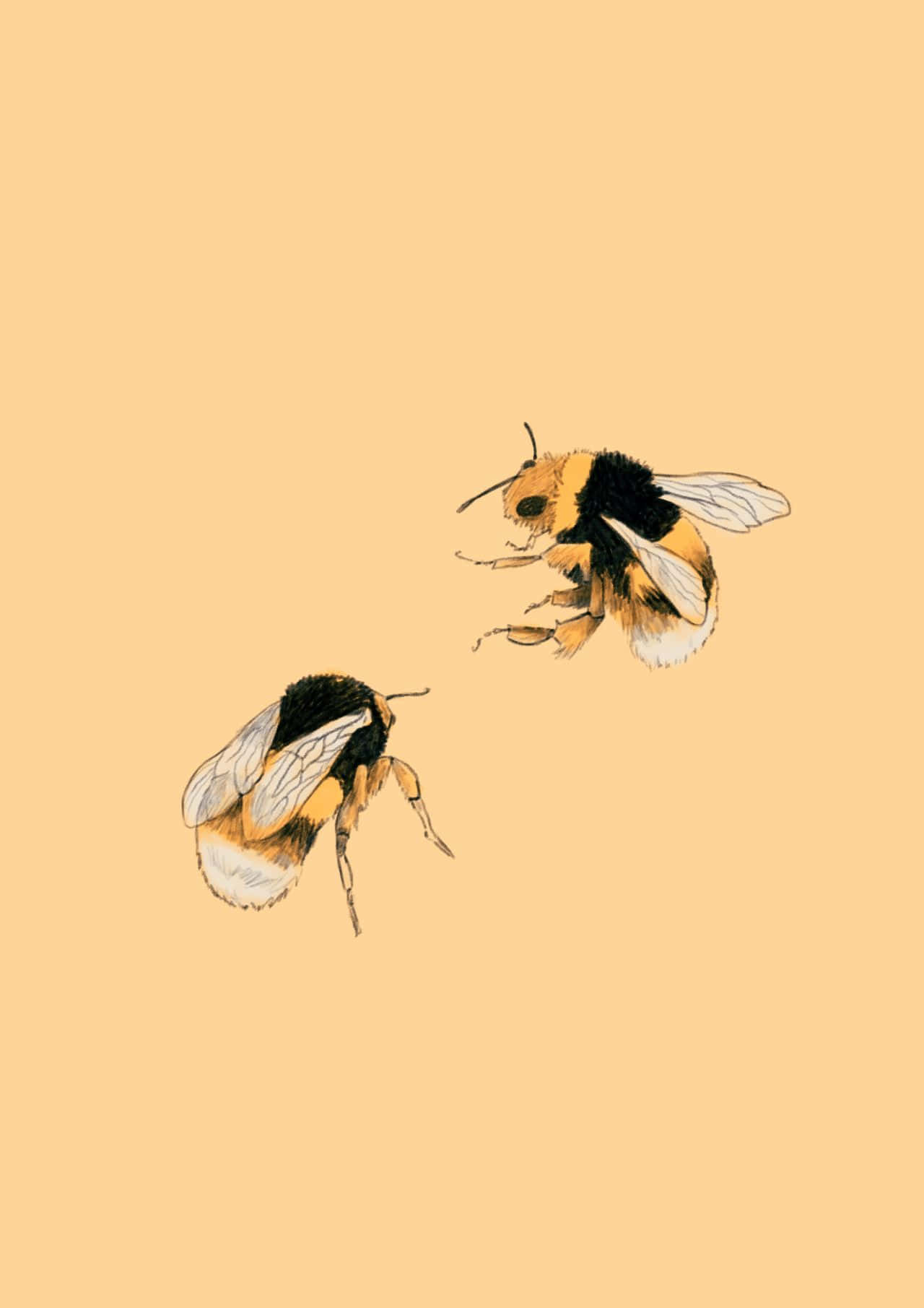 Aesthetic Bee Wallpaper Background