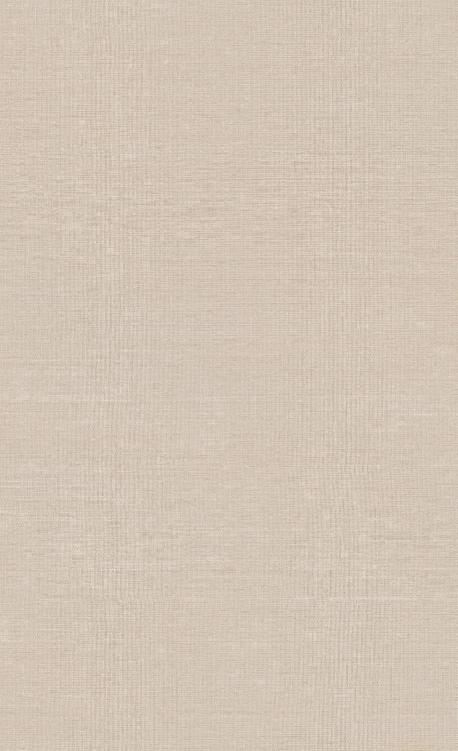 Aesthetic Beige Wall Paint Background
