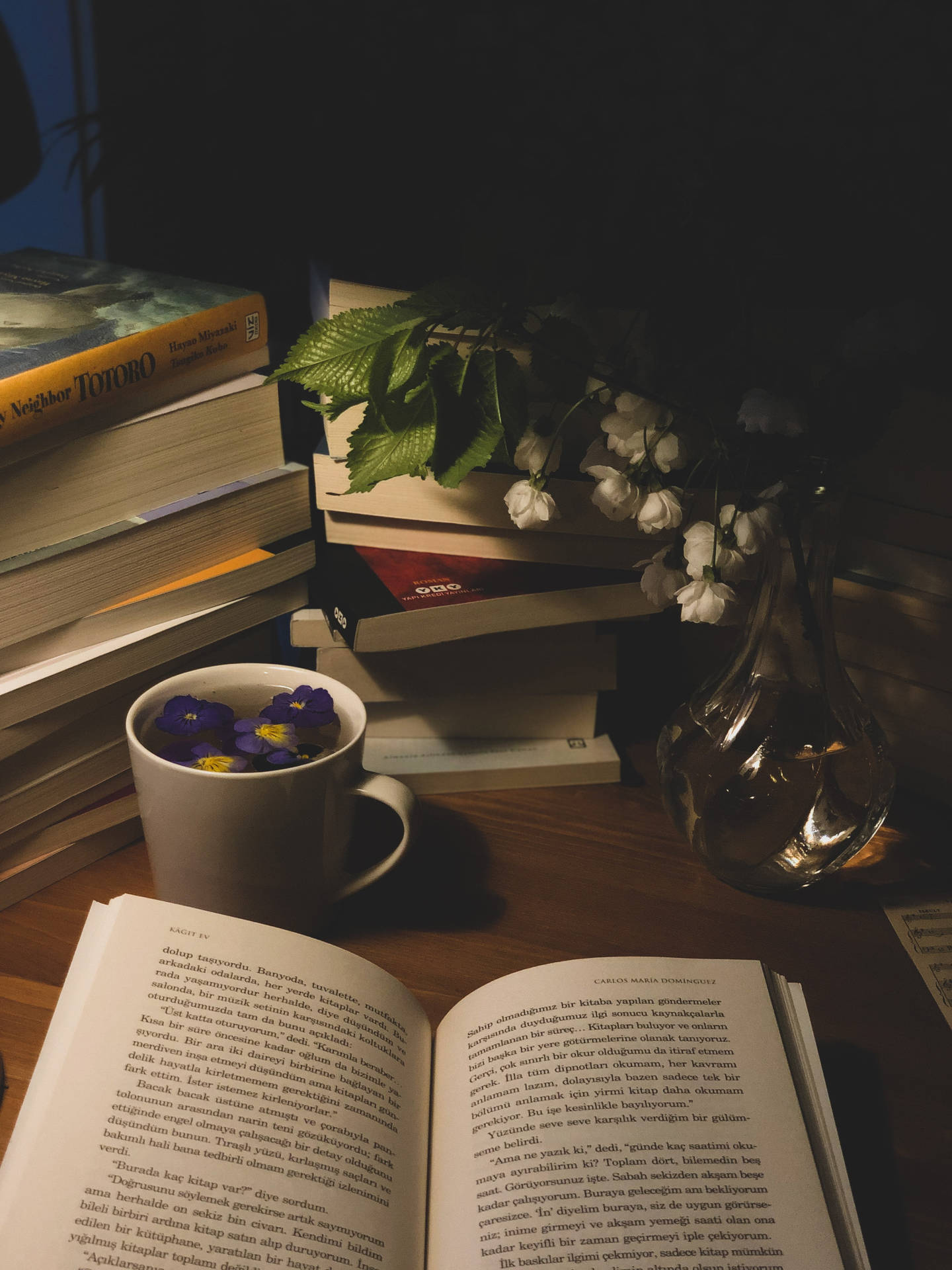 Aesthetic Book-fanatic's Dream Desk