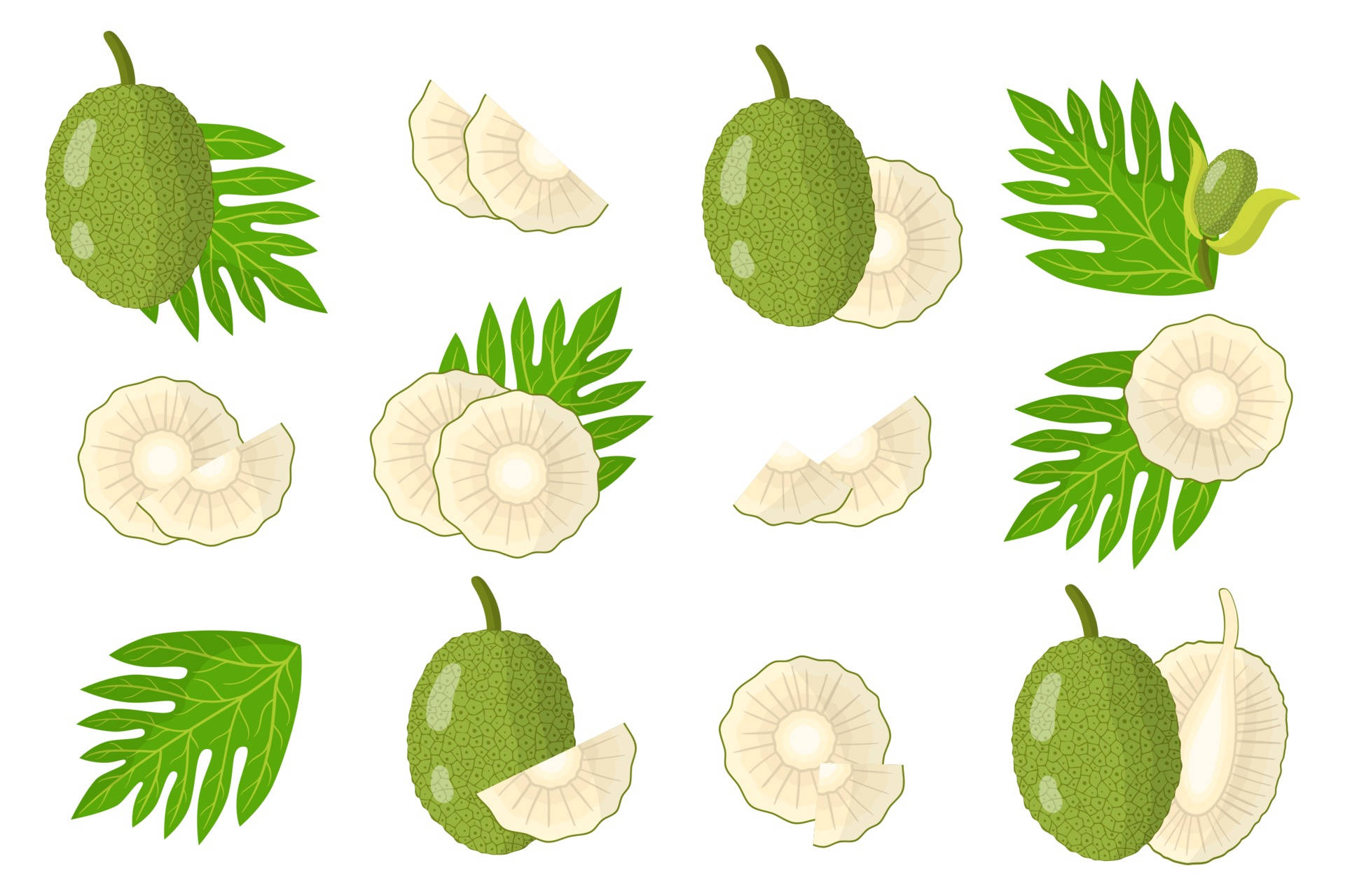 Aesthetic Breadfruit Poster