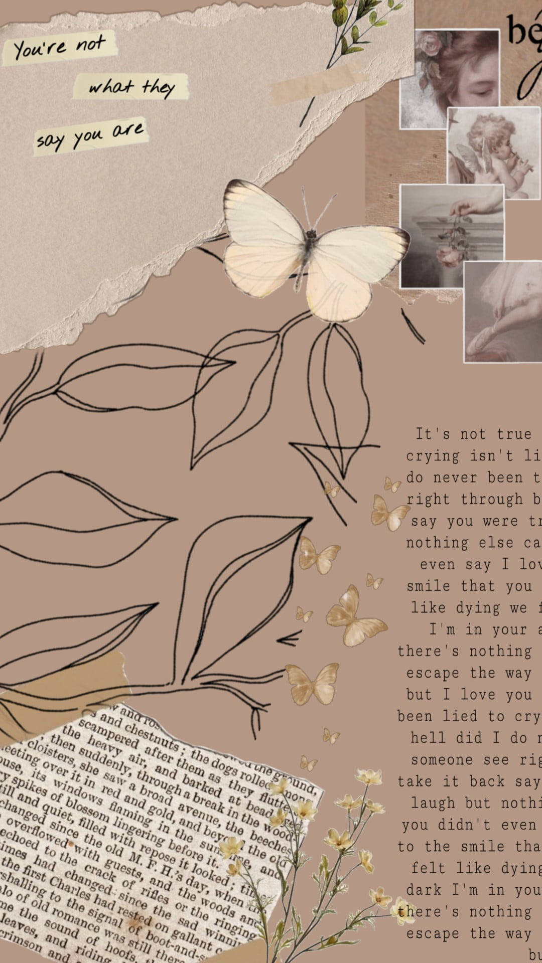 Aesthetic Brown Book And Butterfly Background
