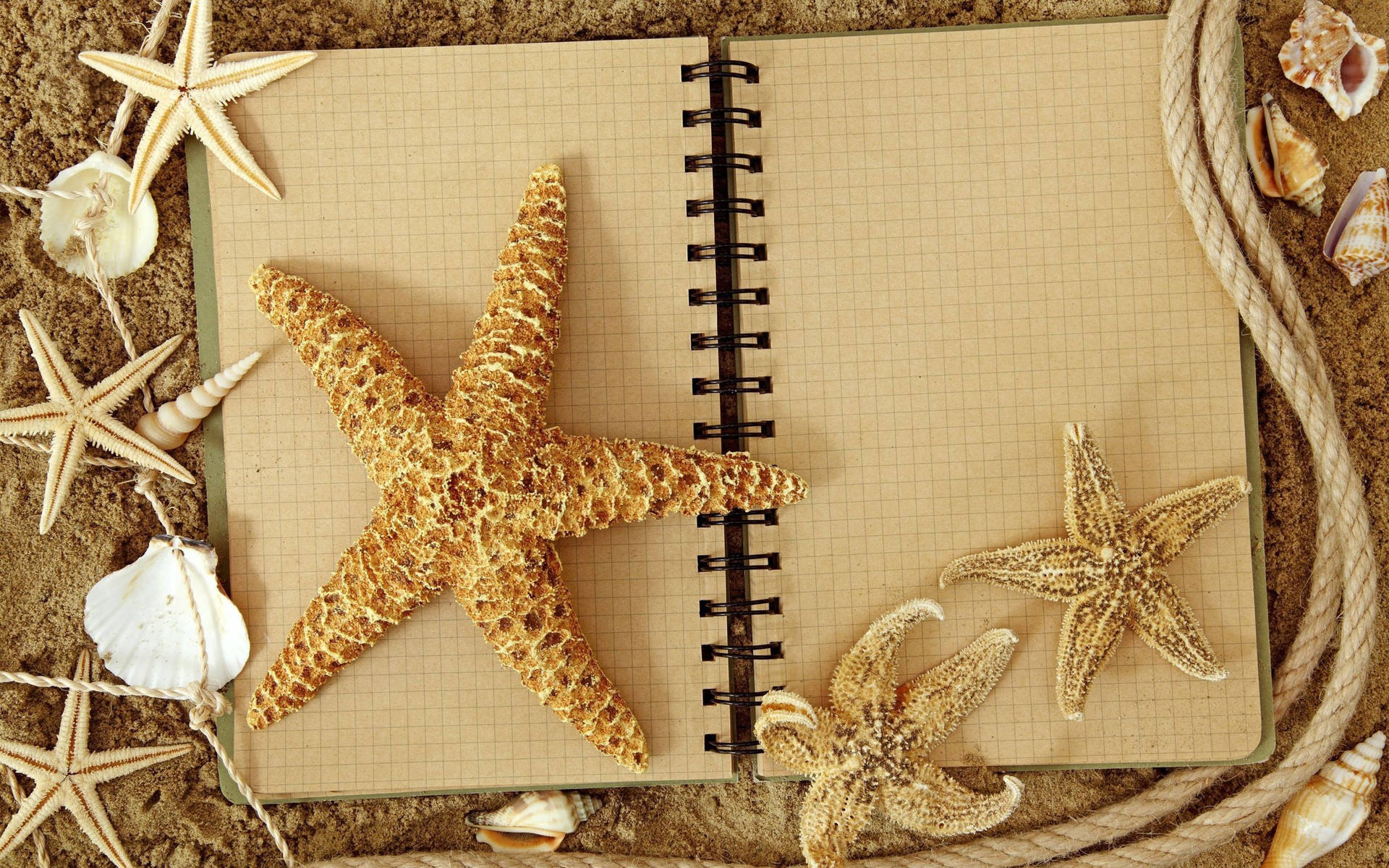 Aesthetic Brown Starfish Journal