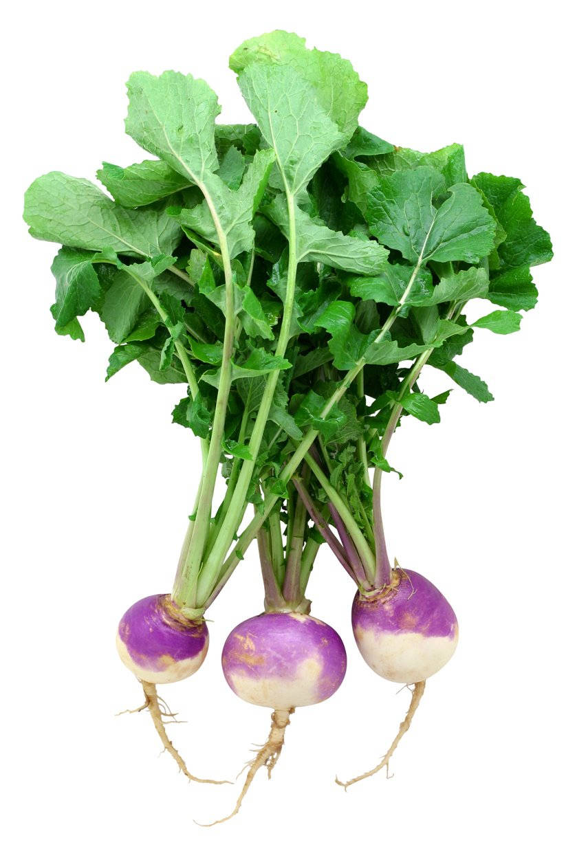 Aesthetic Bunch Of Turnips Background