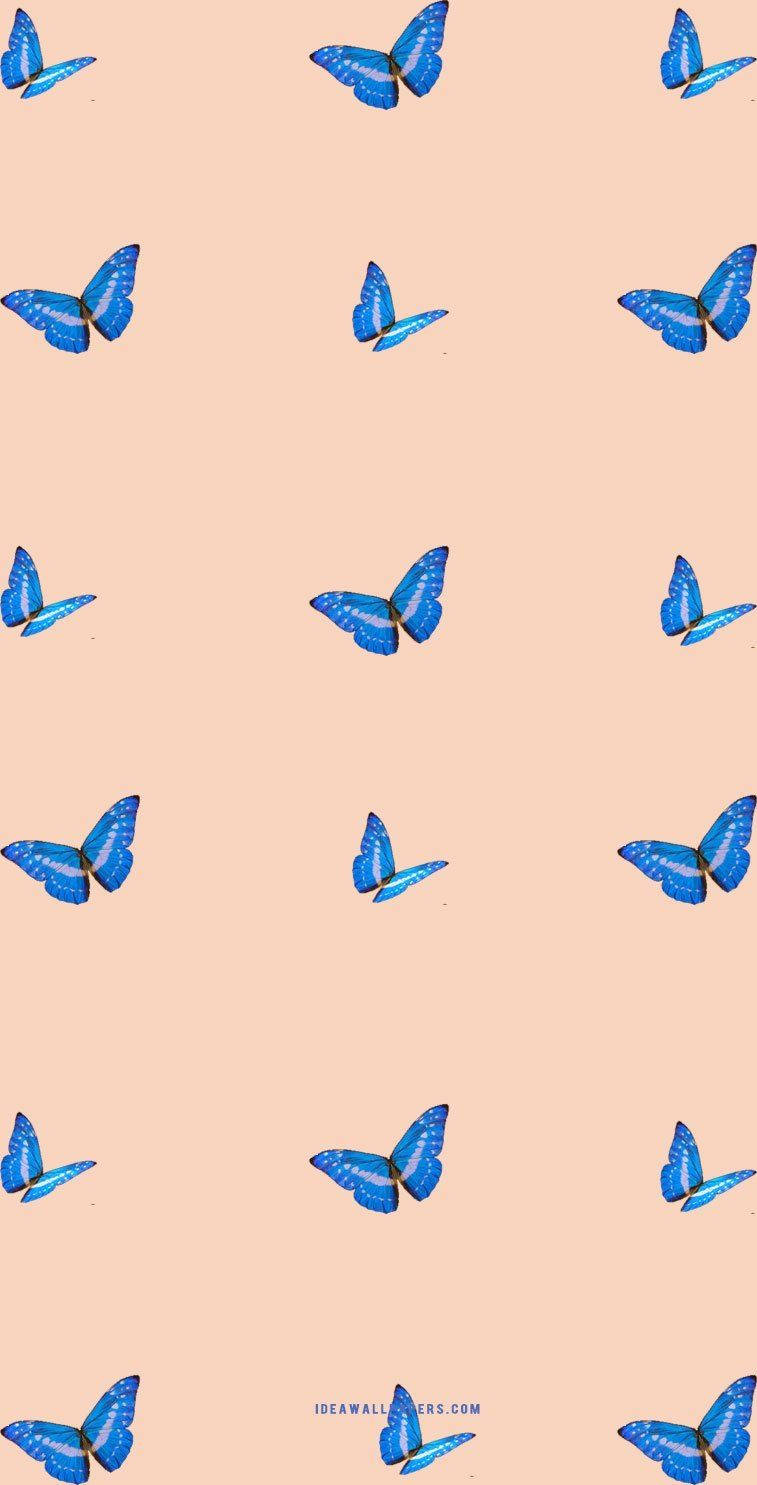 Aesthetic Butterfly Design For Iphone Background