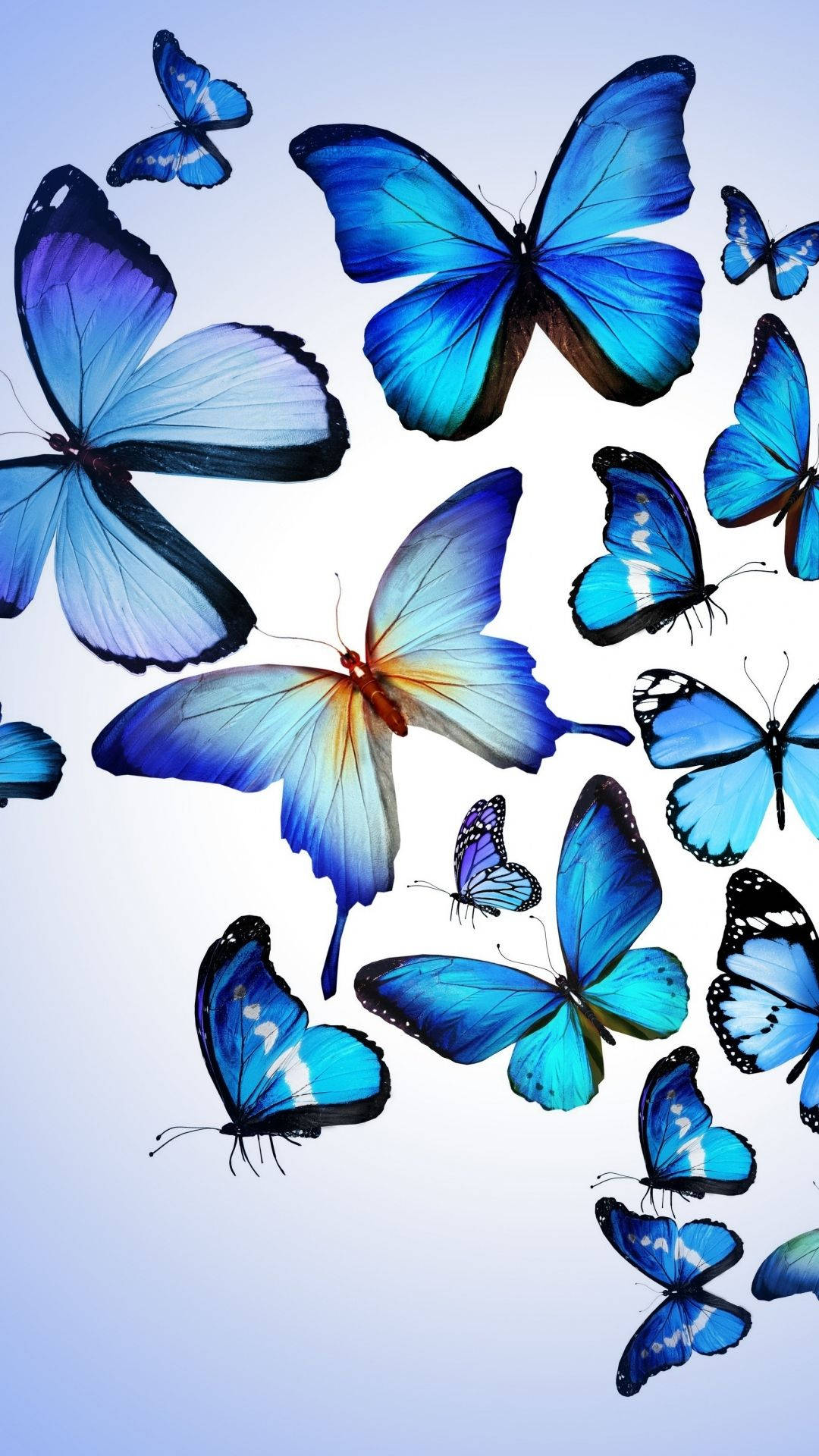 Aesthetic Butterfly Iphone Theme Display Background