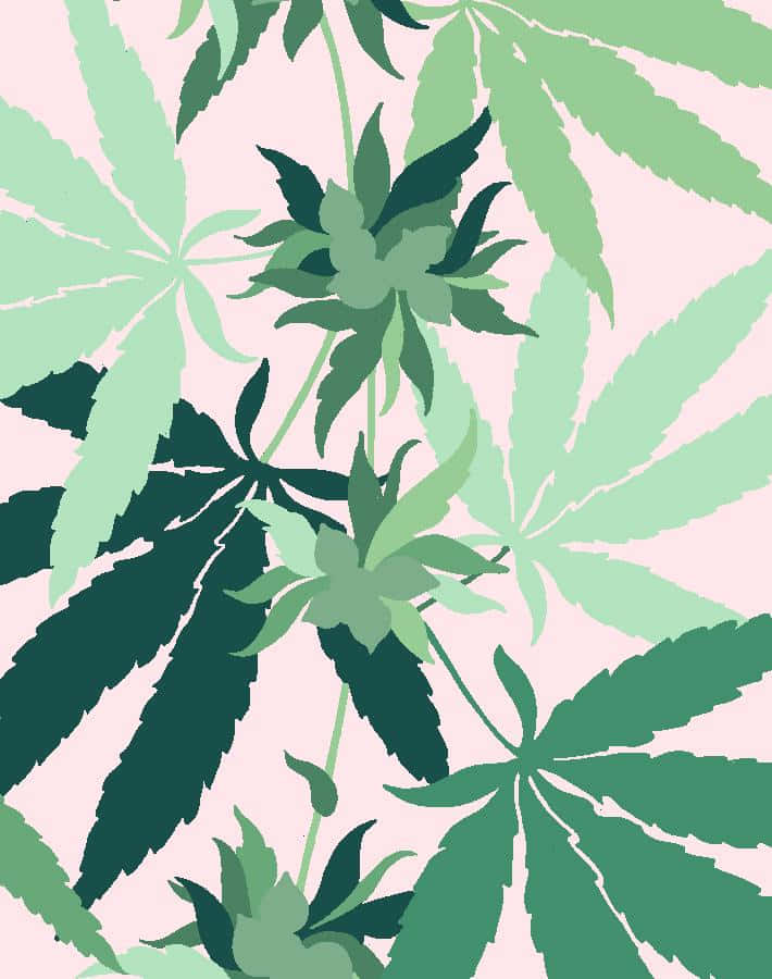 Aesthetic Cannabis Leaf Background