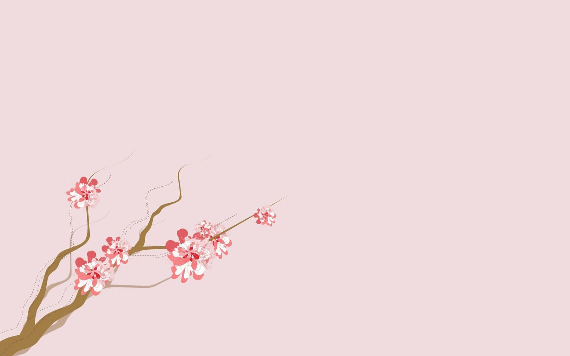 Aesthetic Cherry Blossom In Unrealistic Photo Background