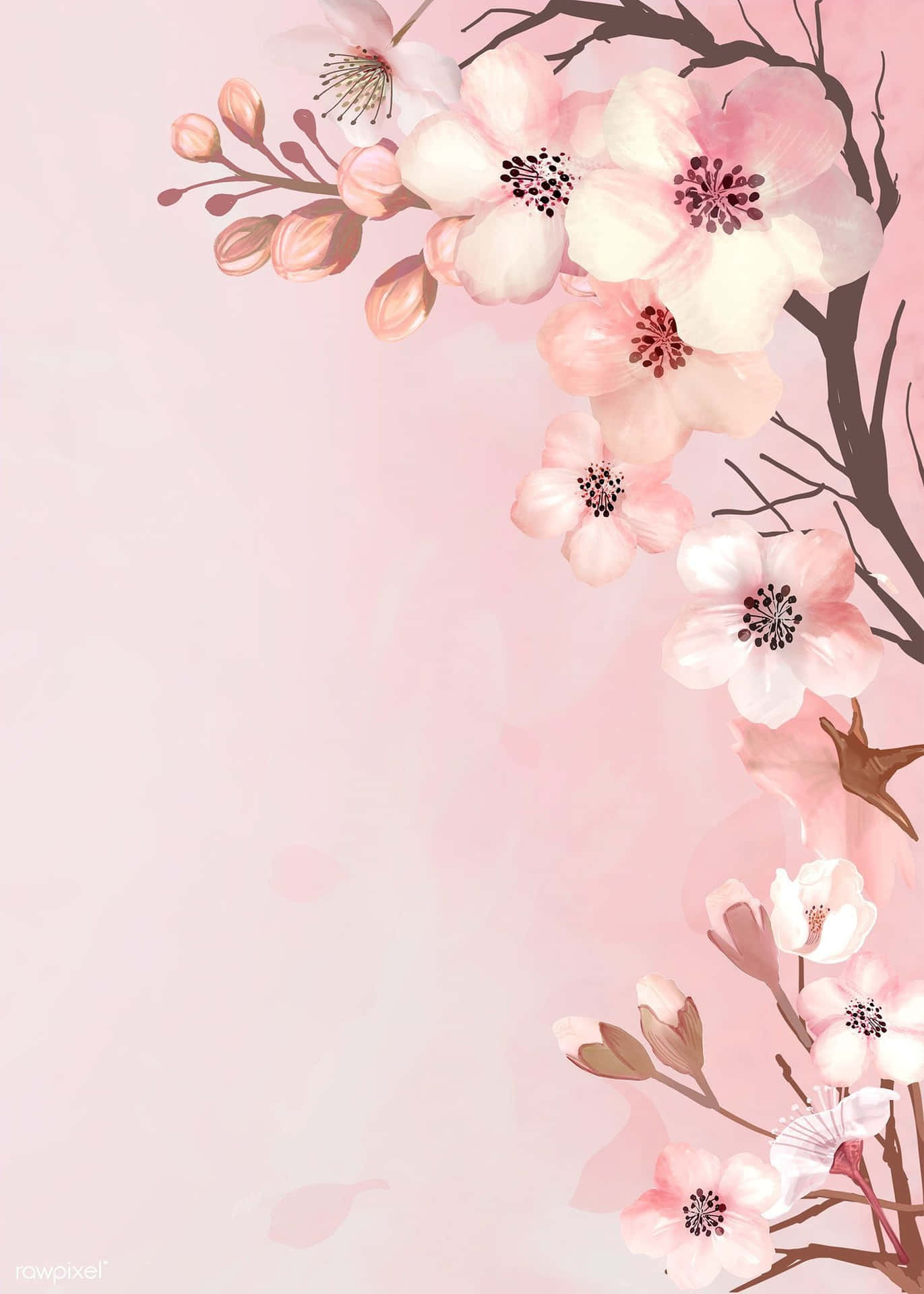 Aesthetic Cherry Blossom On Sides Background