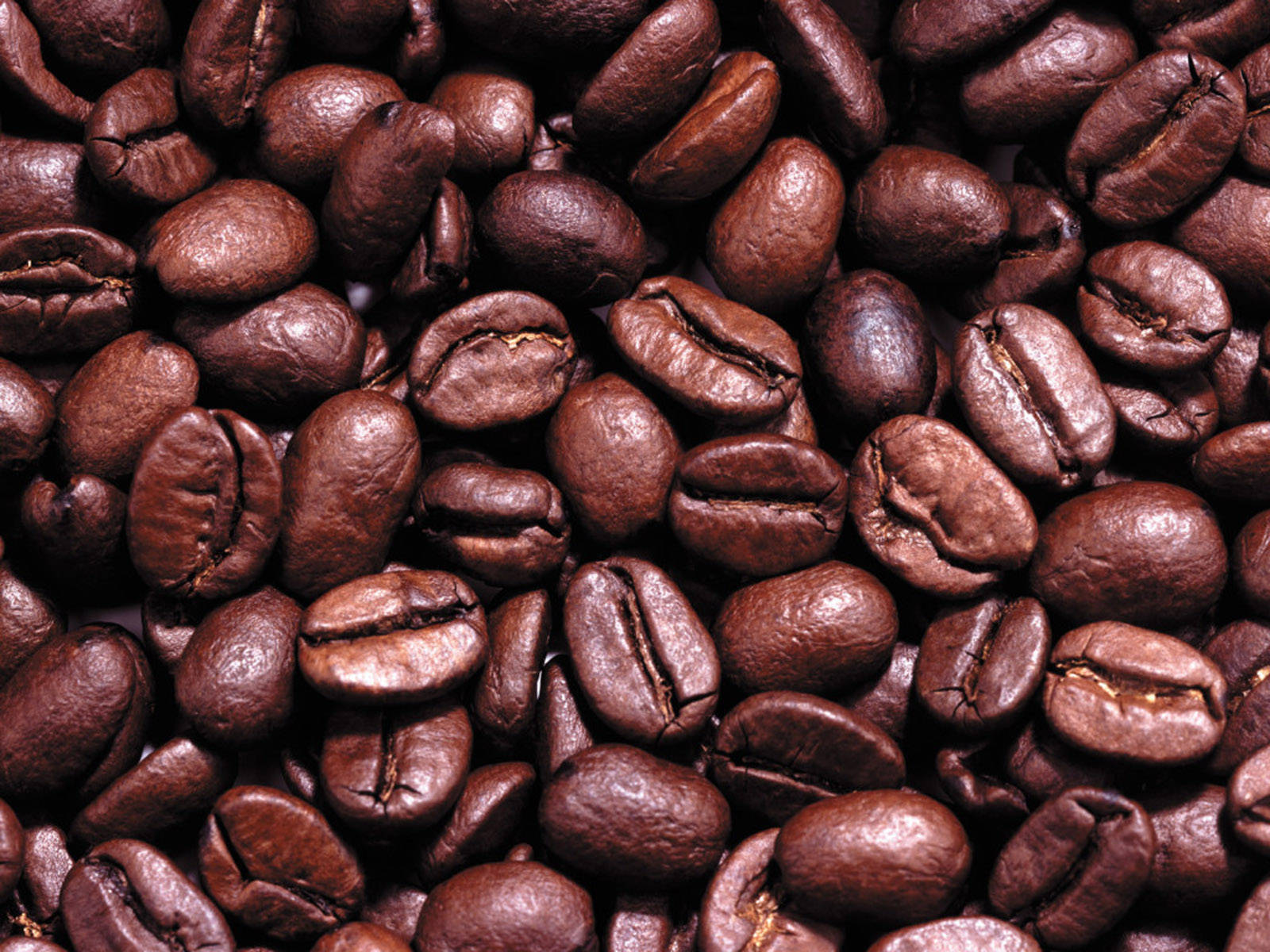 Aesthetic Coffee Beans