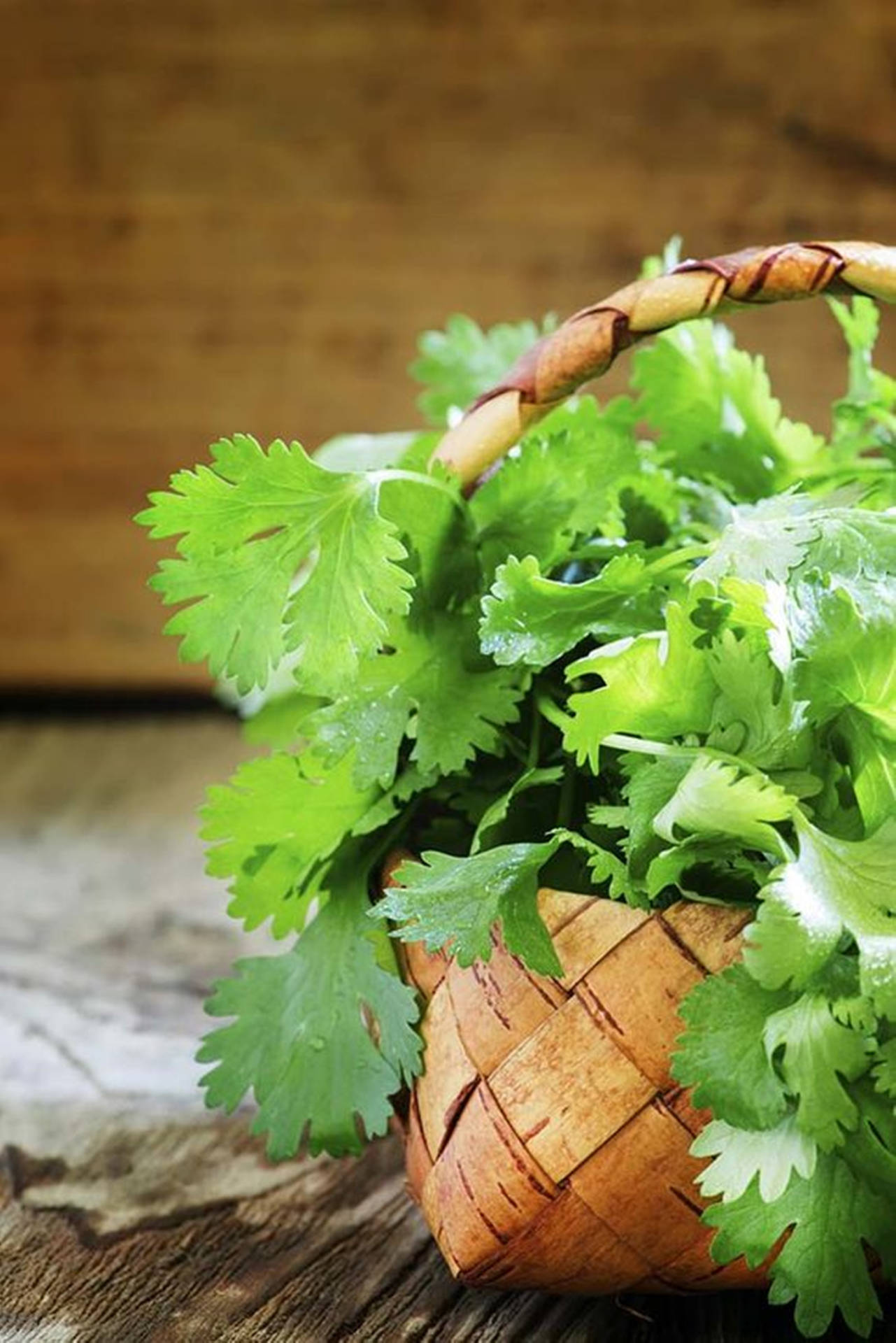 Aesthetic Coriander Plant On Woven Basket Background