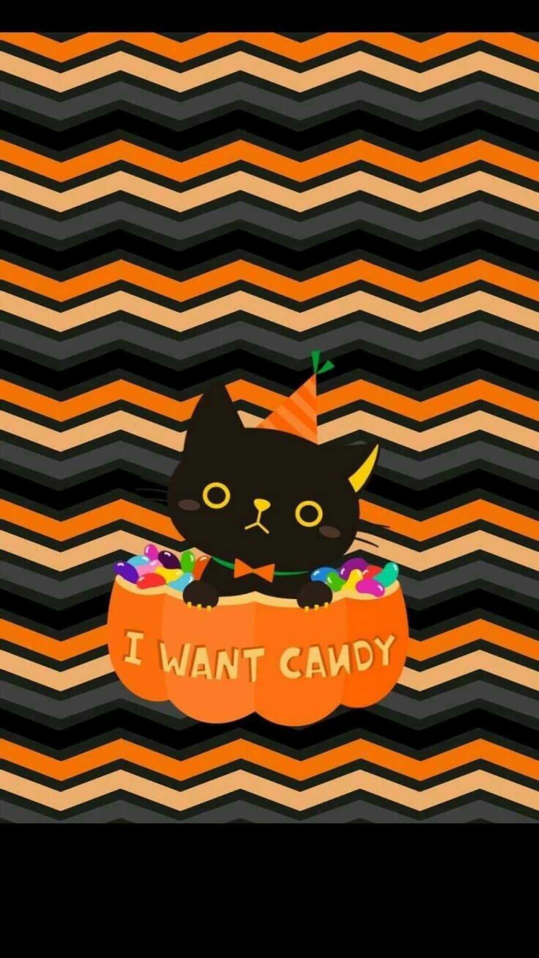 Aesthetic Cute Halloween Black Cat In A Pumpkin Background