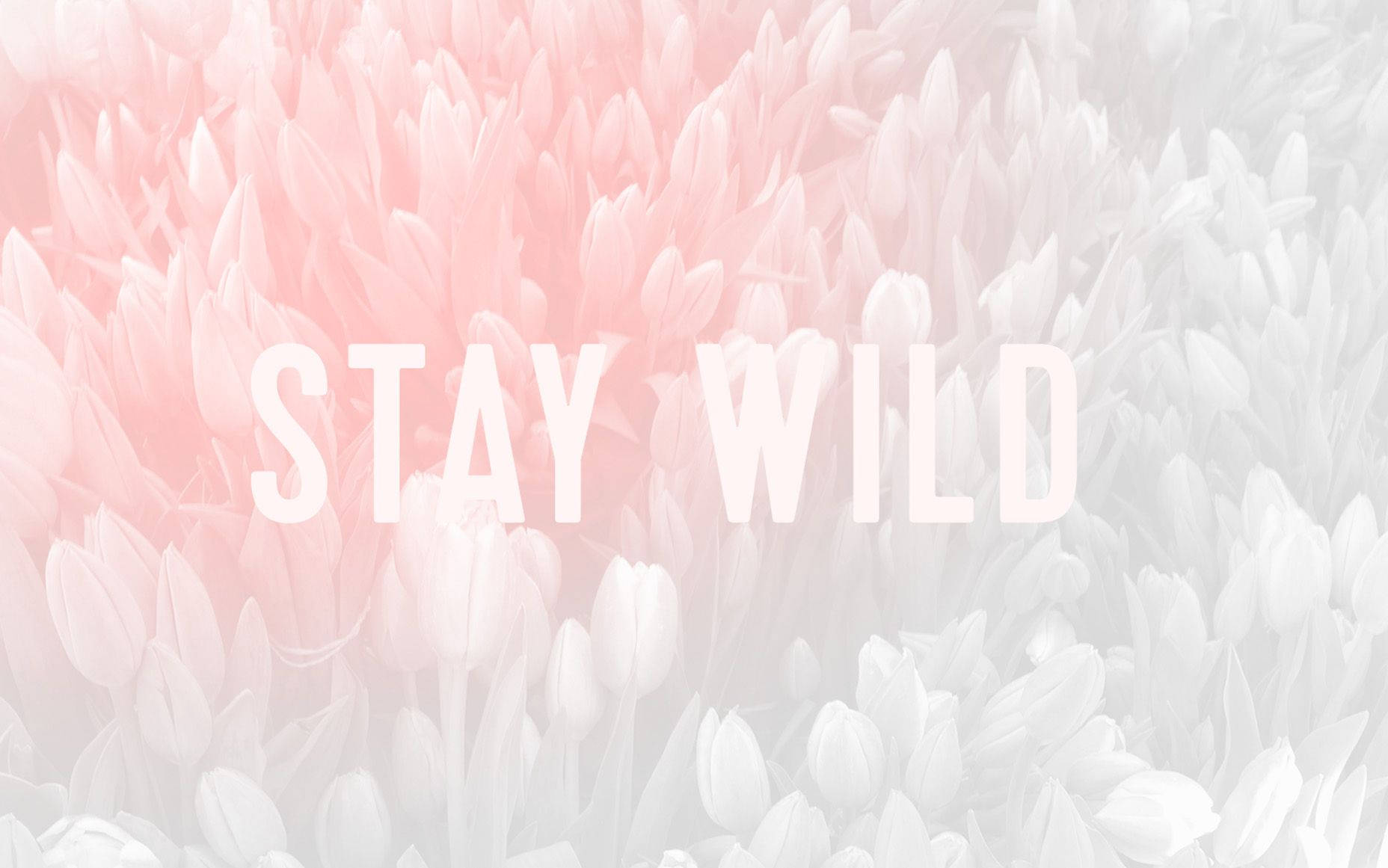 Aesthetic Cute Pastel Stay Wild Background