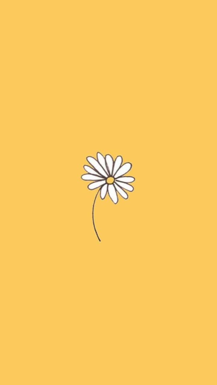 Aesthetic Daisy Cute Doodle Art Background