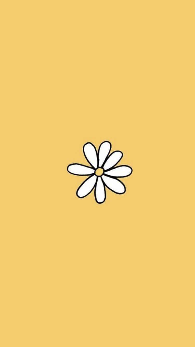 Aesthetic Daisy Minimalist Doodle Background