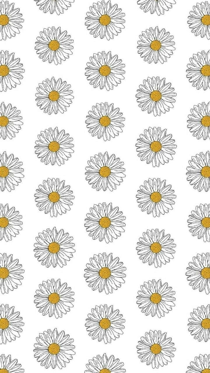 Aesthetic Daisy Pattern Drawing