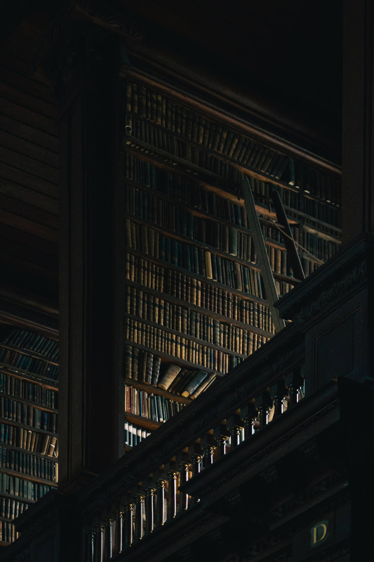 Aesthetic Dark Library