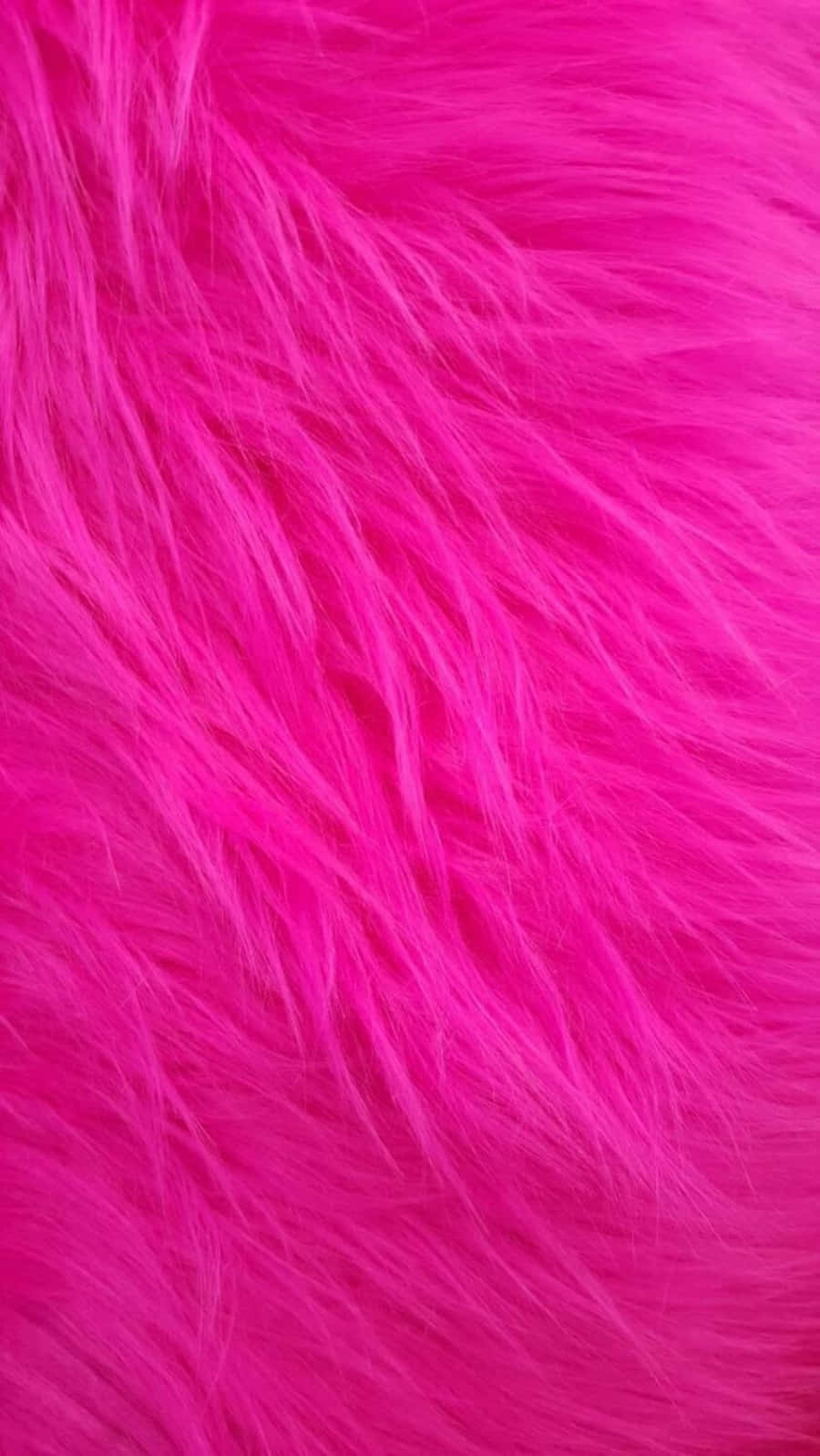 Aesthetic Dark Pink Feather