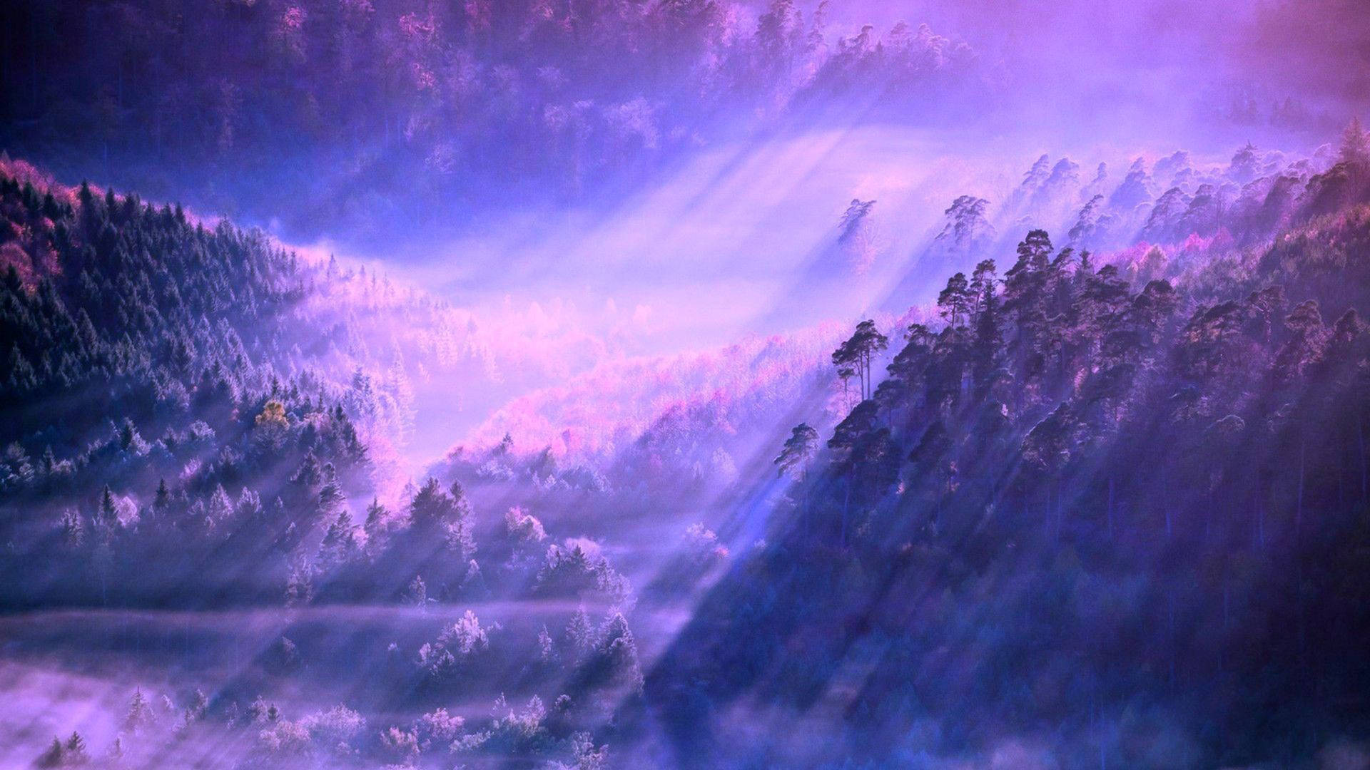 Aesthetic Desktop Foggy Forest Background