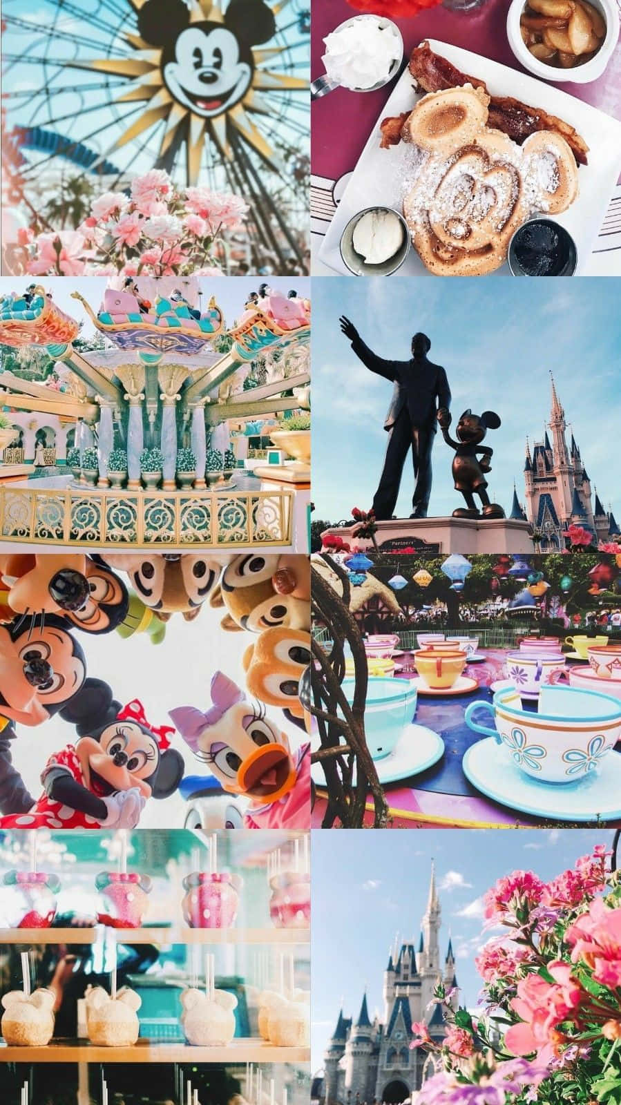 Aesthetic Disney 899 X 1600 Background
