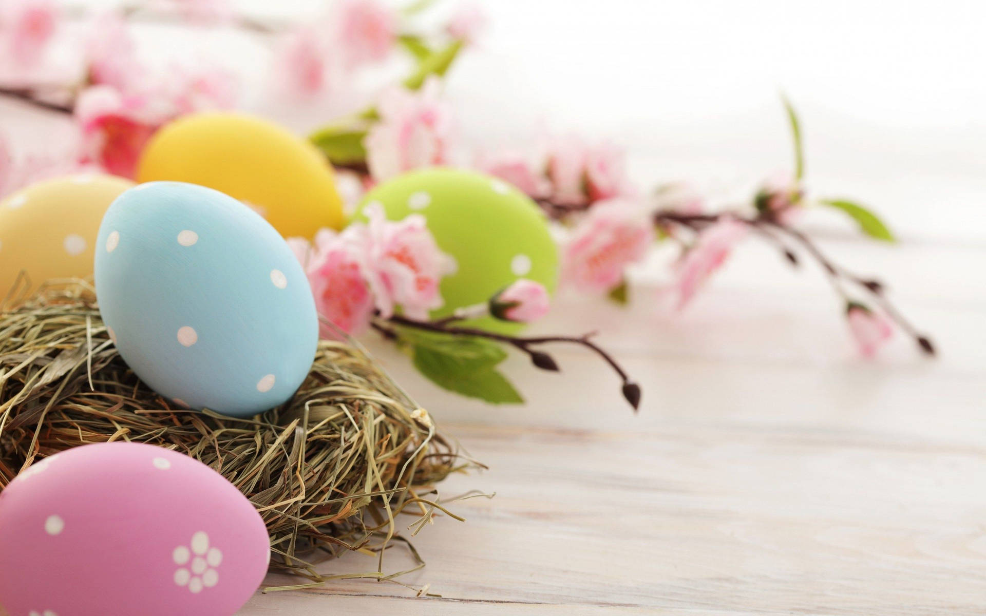 Aesthetic Easter Eggs Decoration Background
