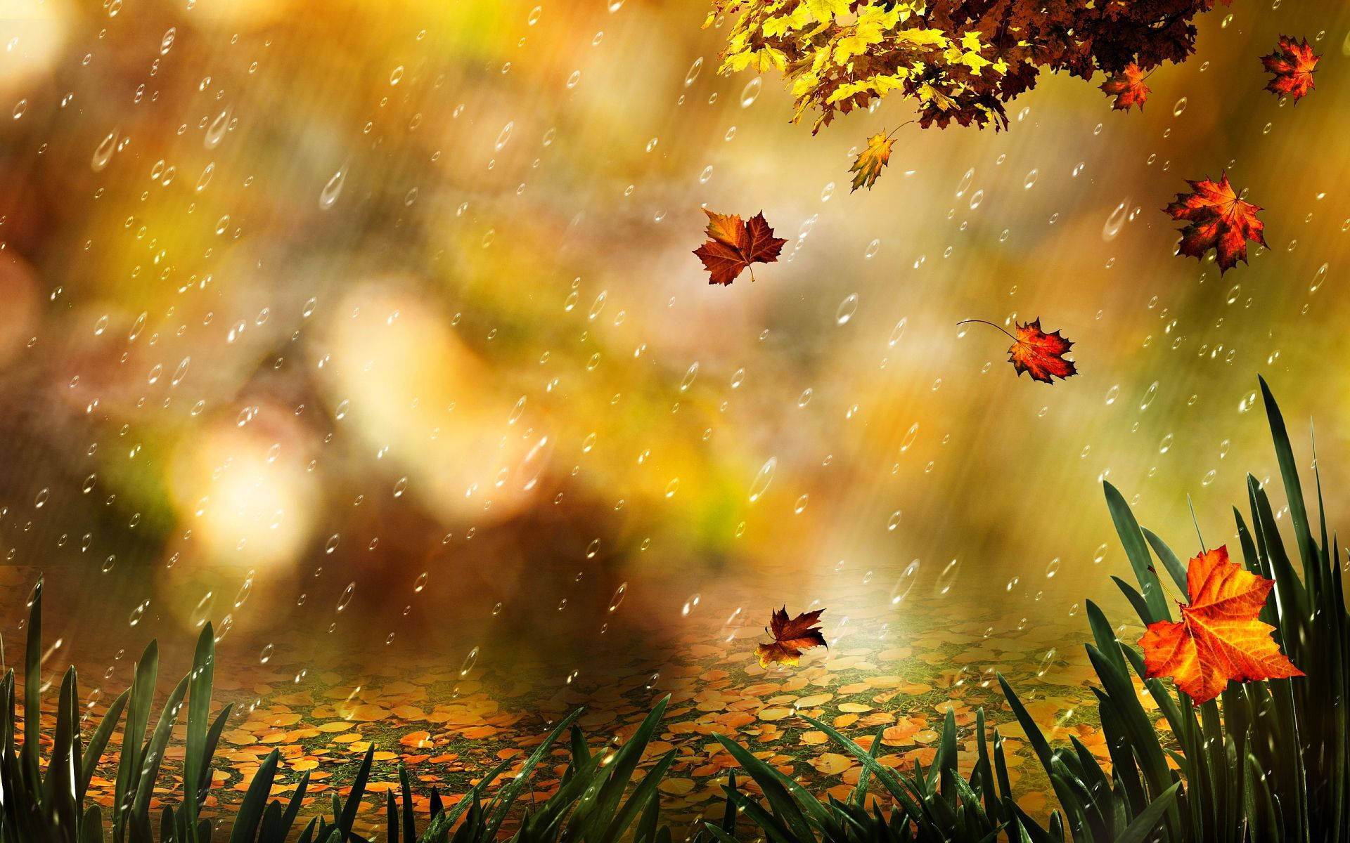 Aesthetic Fall Weather Background