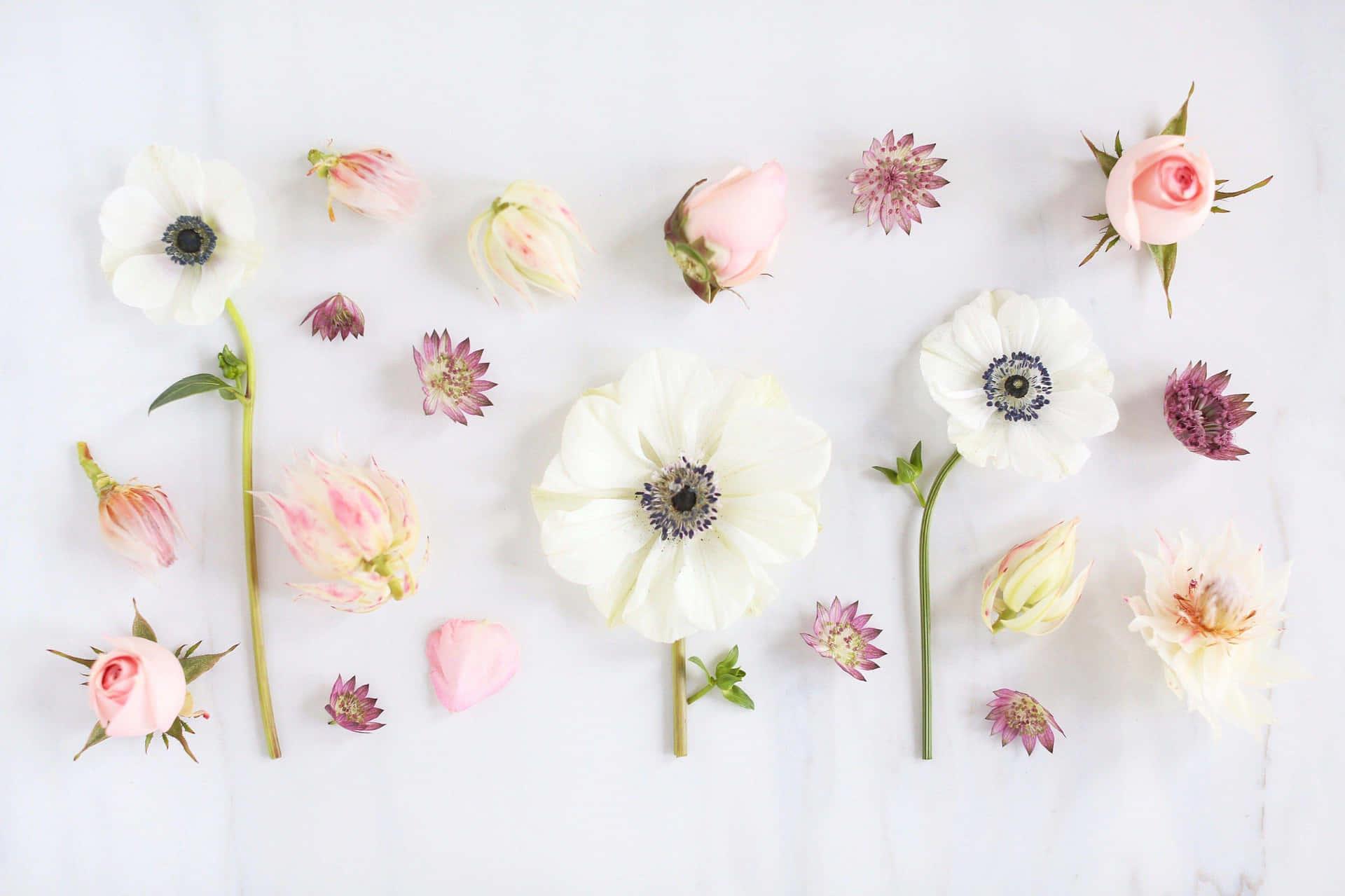 Aesthetic Floral White Background