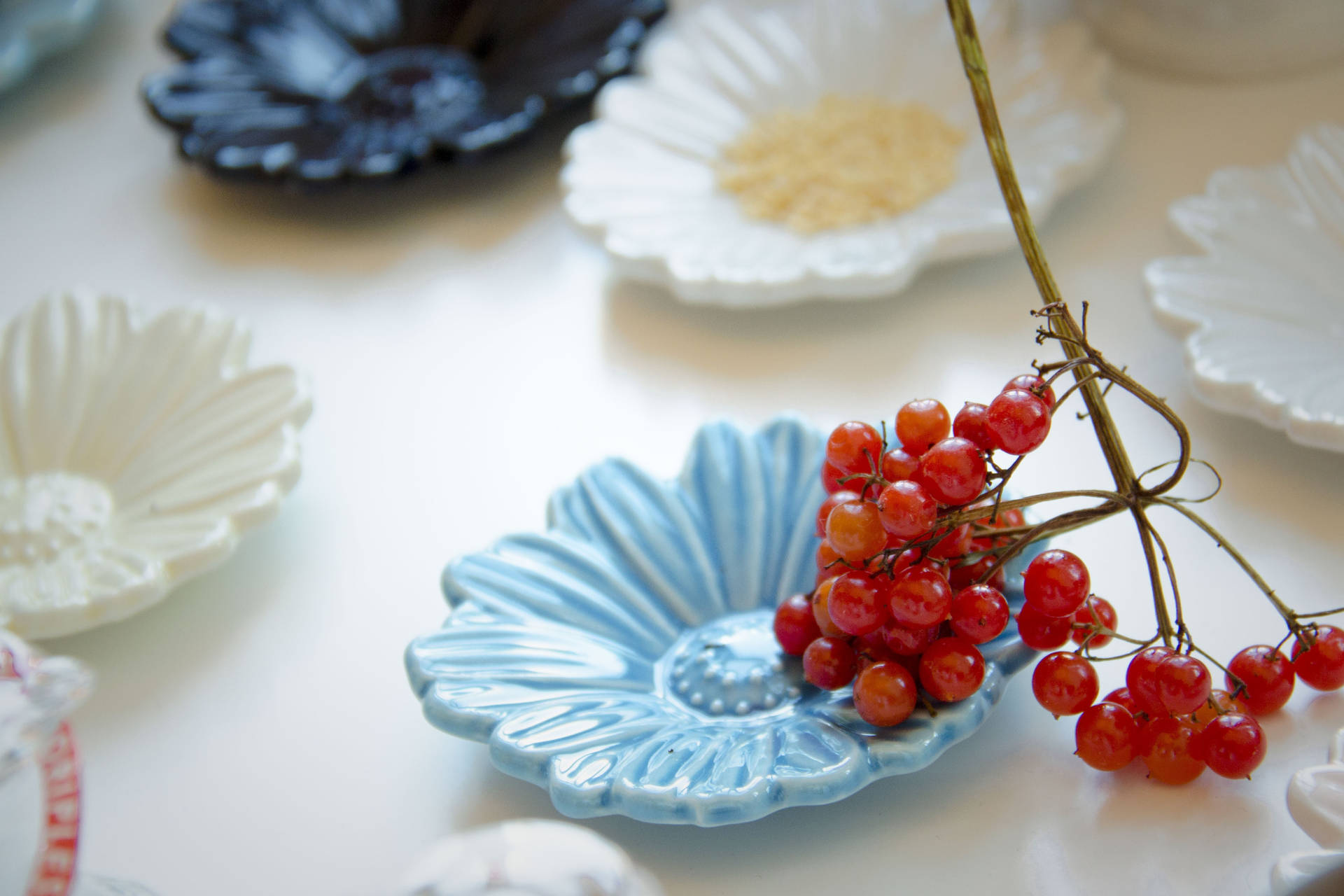 Aesthetic Flower Plates Red Currant Fruits Background