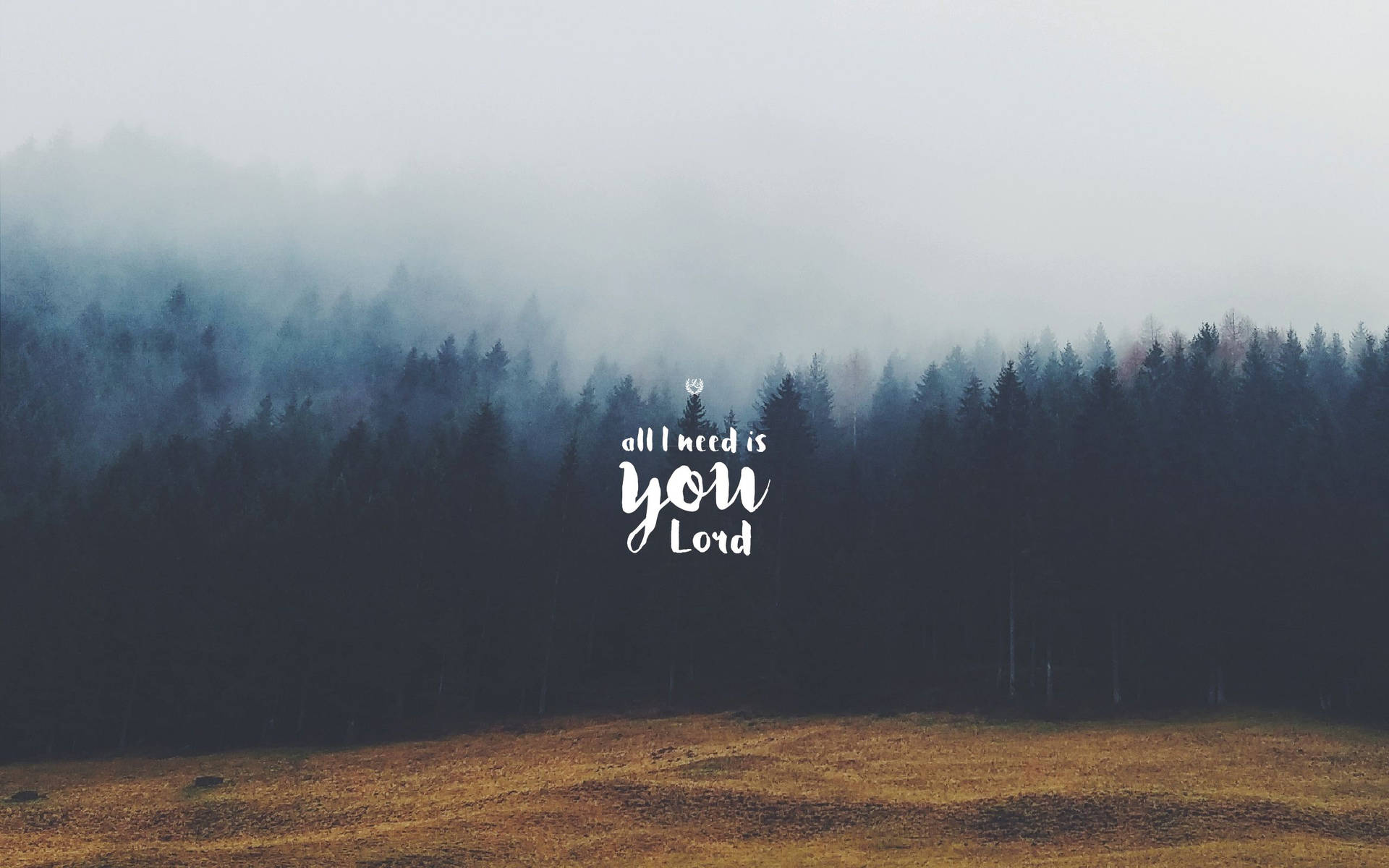 Aesthetic Forest Hillsong Laptop Background