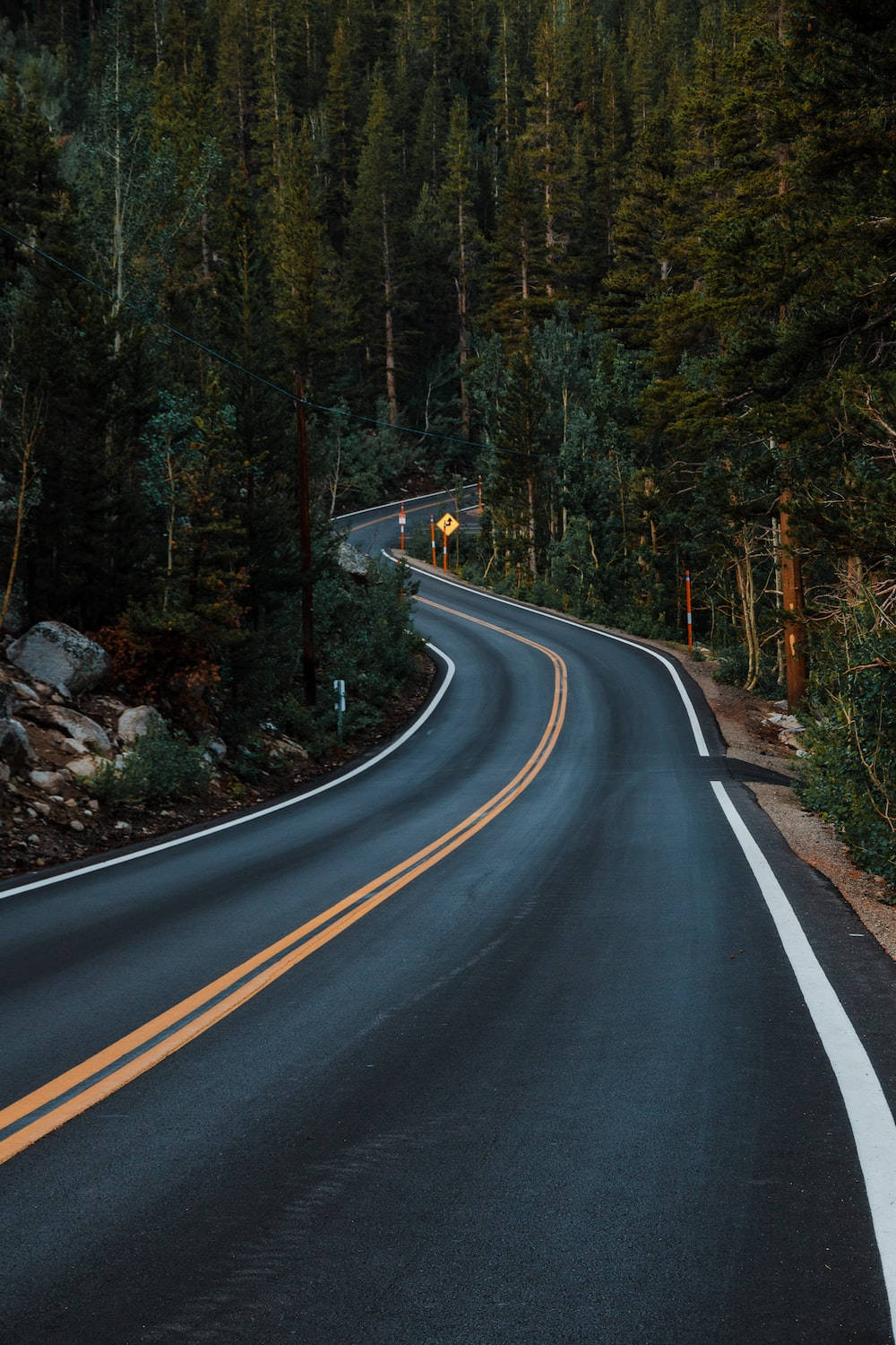 Aesthetic Forest Road Best Hd Background