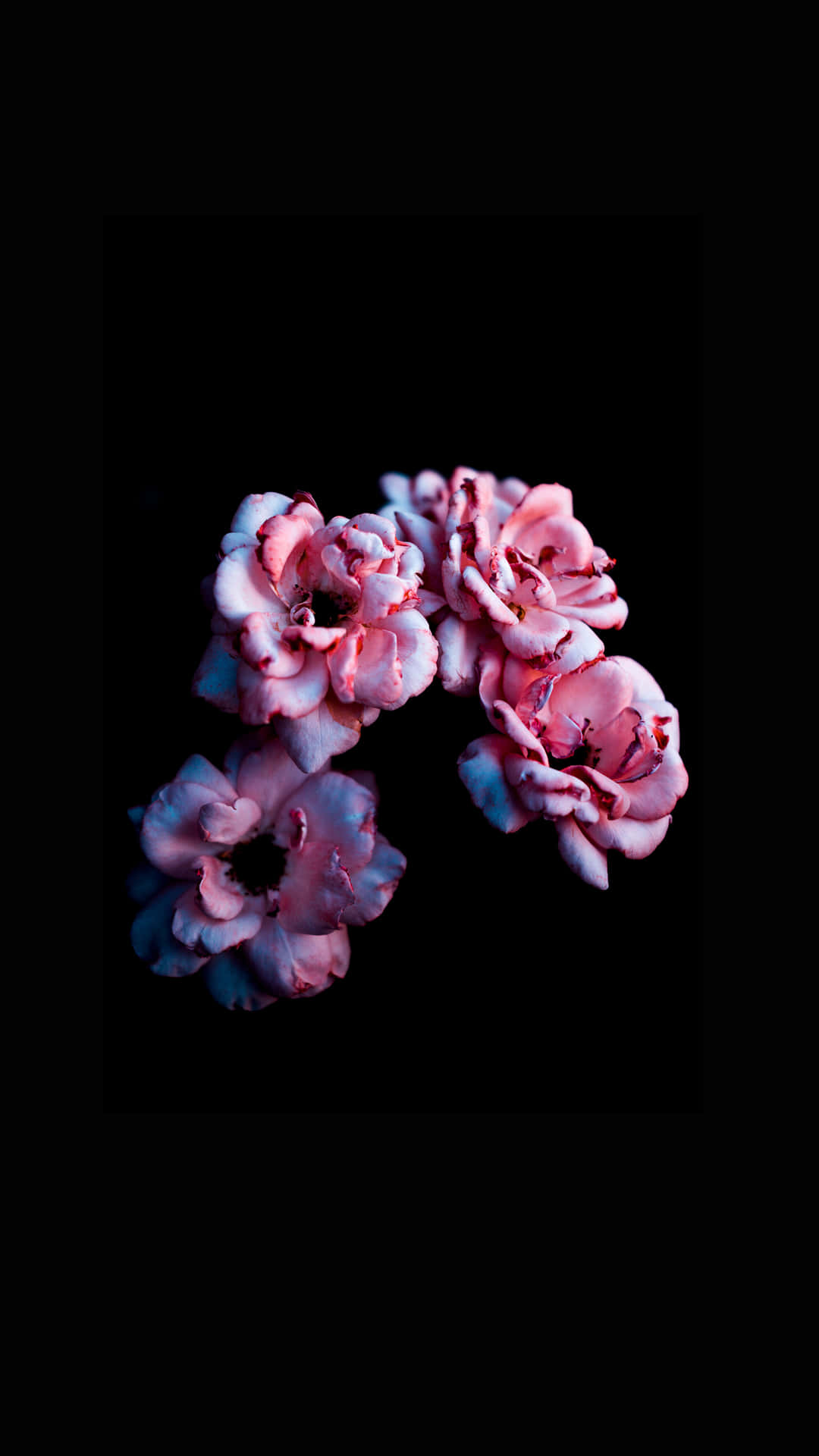 Aesthetic Four Flowers In Dark Background