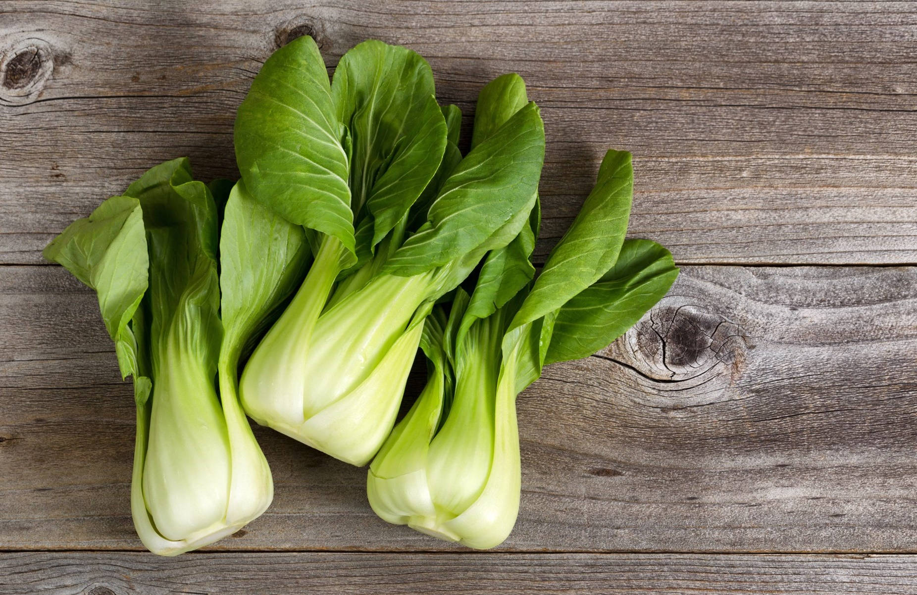 Aesthetic Fresh Bok Choy Cabbages Background