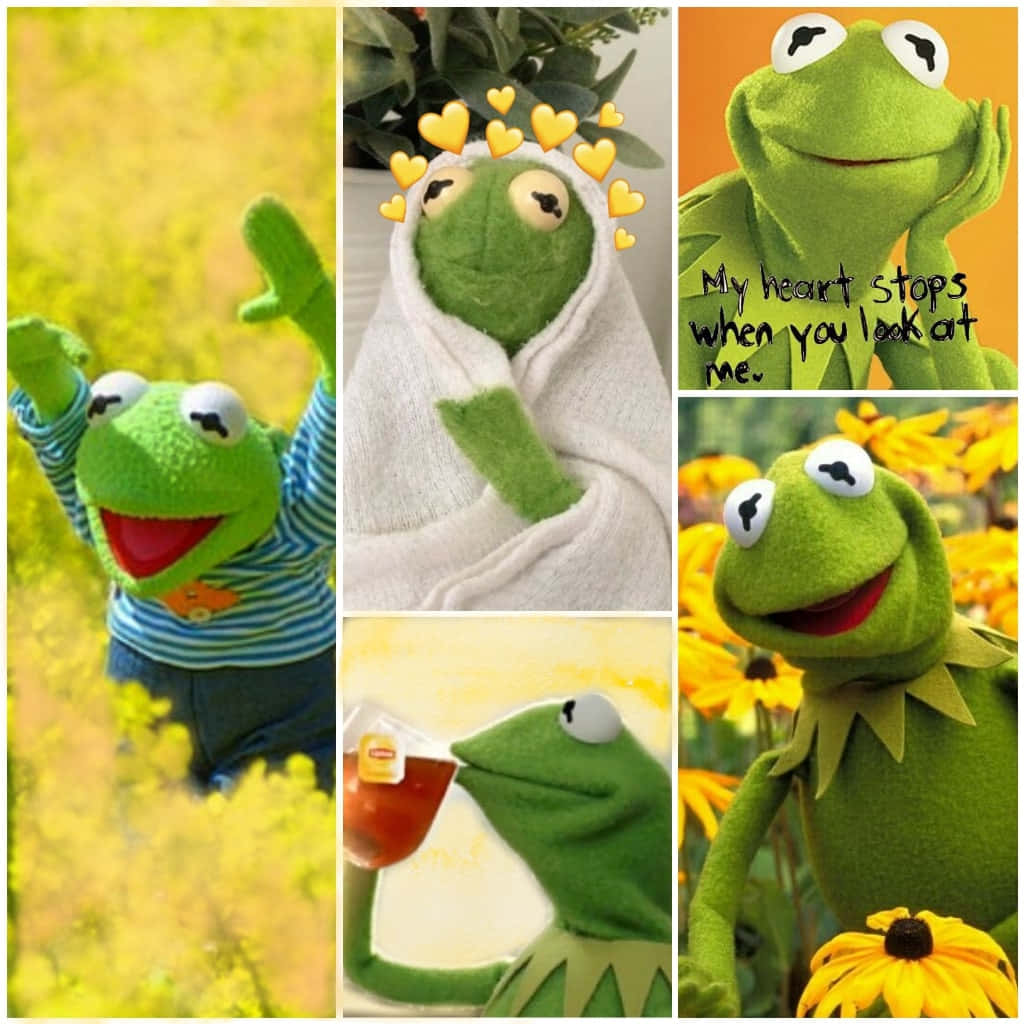 Aesthetic Frog In A Dreamy Forest Background