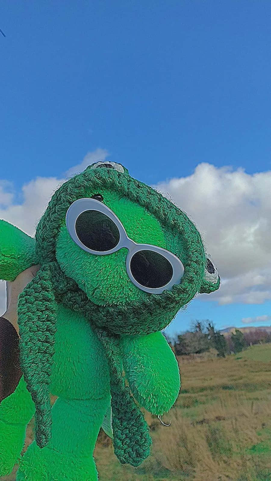 Aesthetic Frog Relaxing On A Mushroom Background