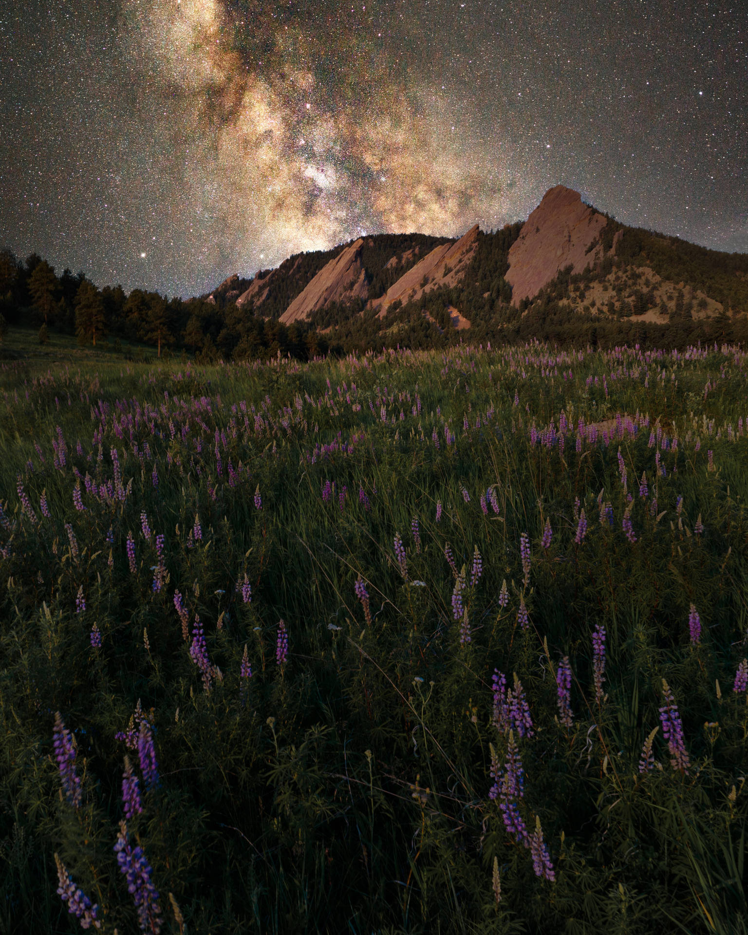 Aesthetic Galaxy With Mountain Fields Background