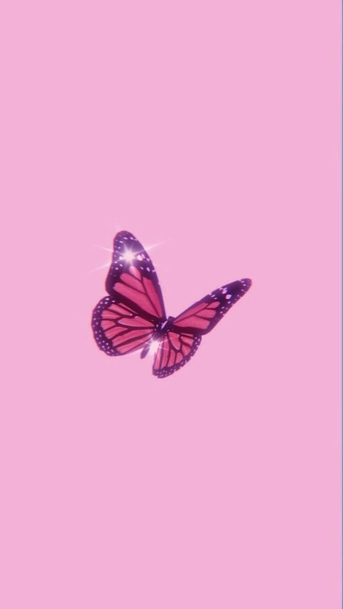 Aesthetic Girly Butterfly Background