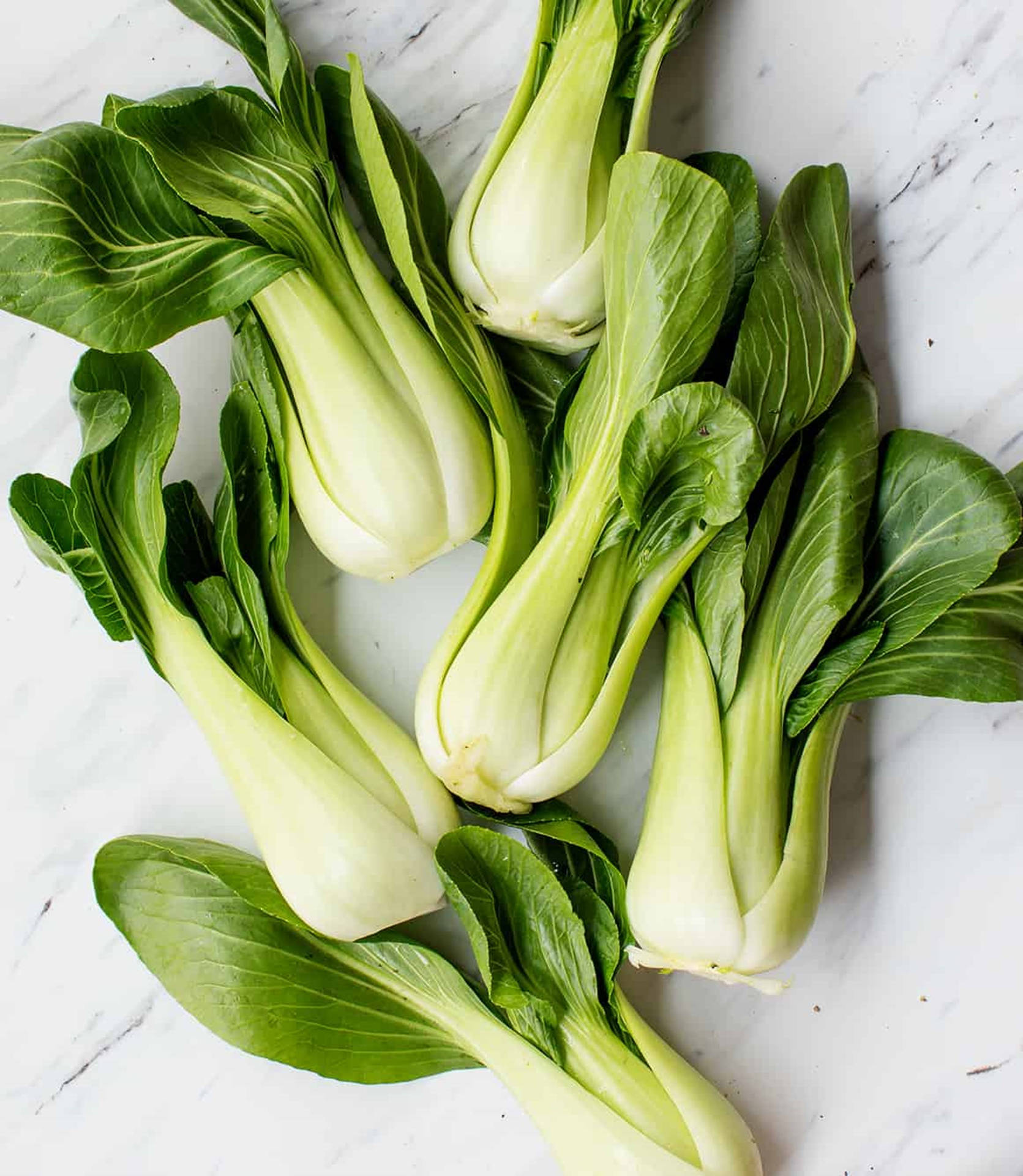 Aesthetic Glossy Bok Choy Cabbages