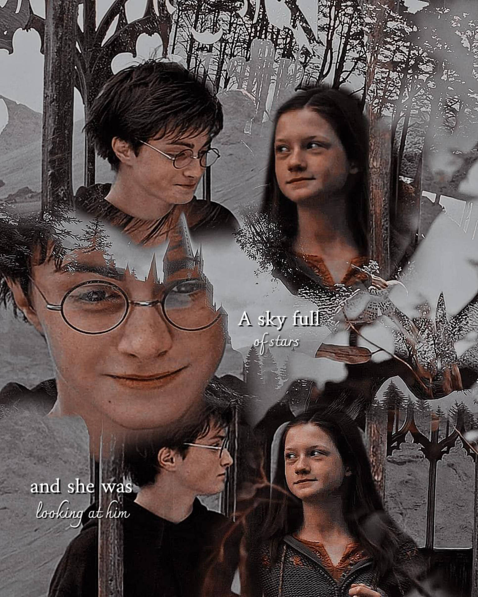 Aesthetic Harry Potter And Ginny