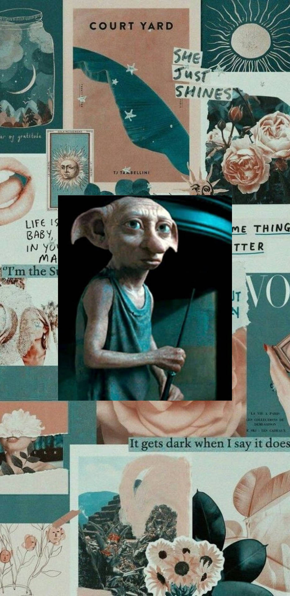Aesthetic Harry Potter Dobby Collage