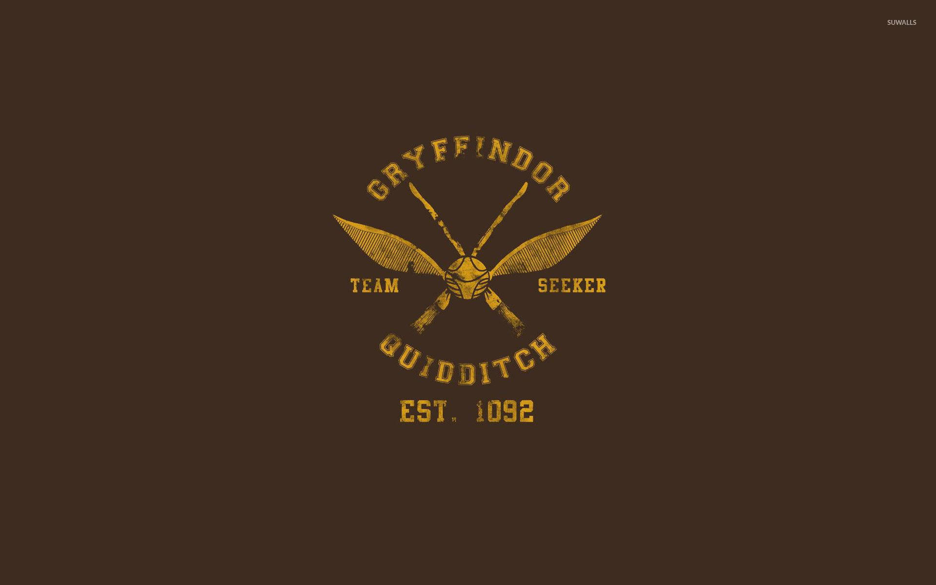 Aesthetic Harry Potter Gryffindor Quidditch Background