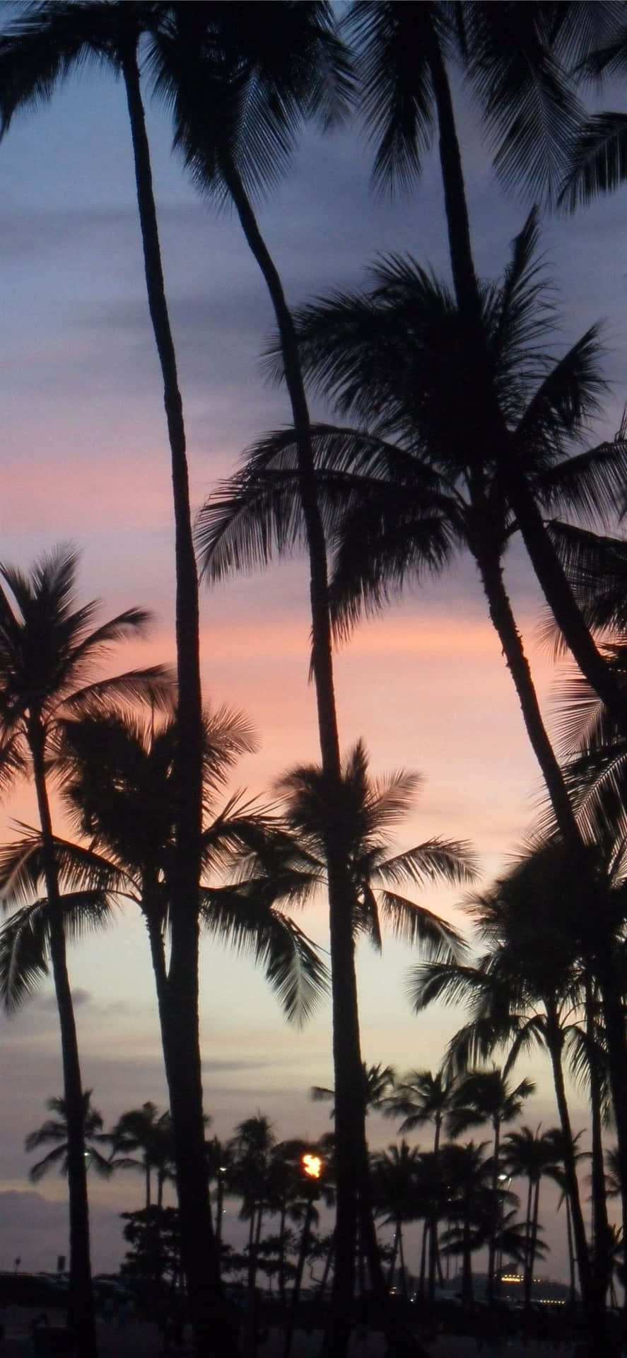 Aesthetic Hawaii Sunset Palm Trees Mobile. Background