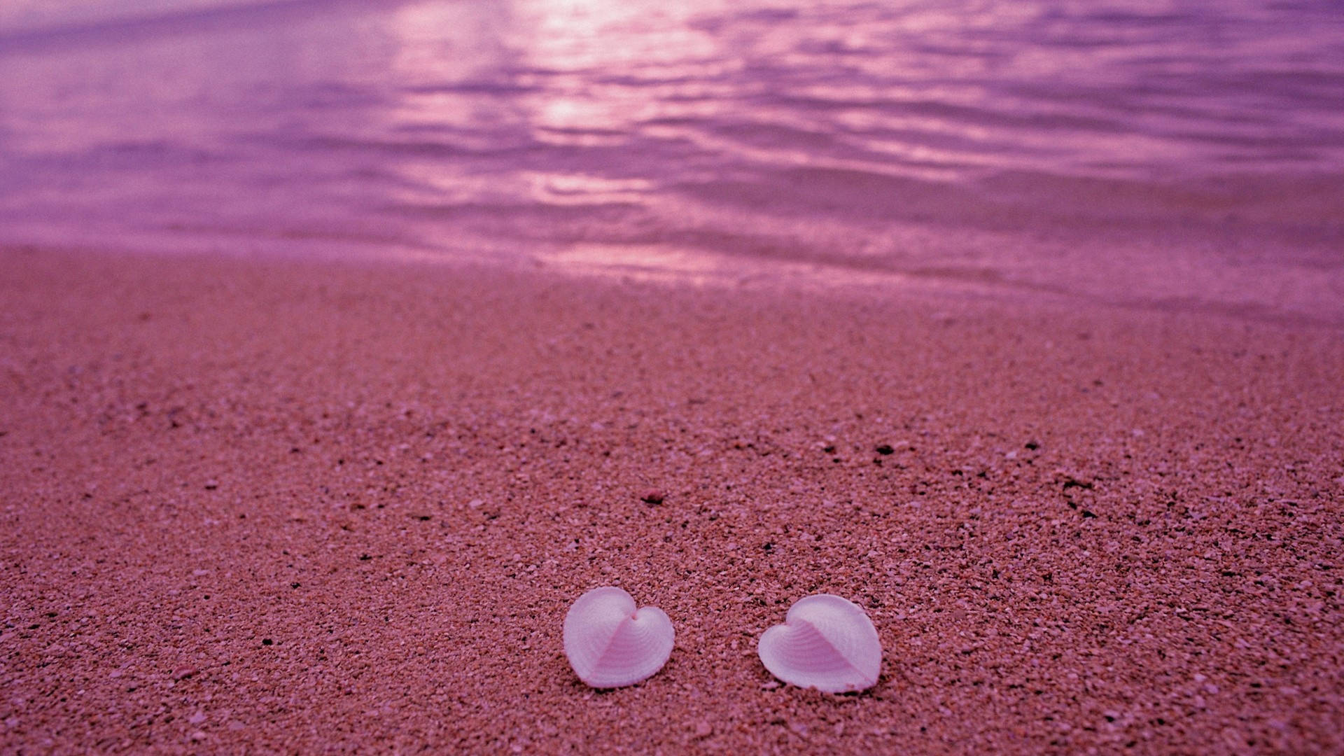Aesthetic Heart Shells At The Beach Background