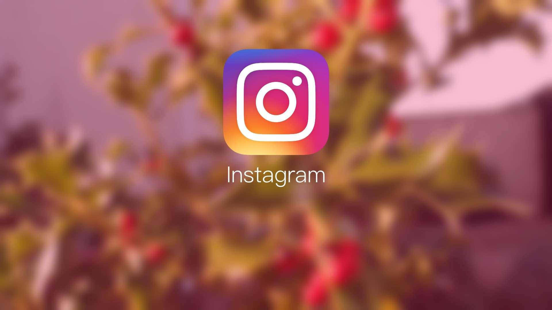 Aesthetic Instagram Multicolor Logo Background