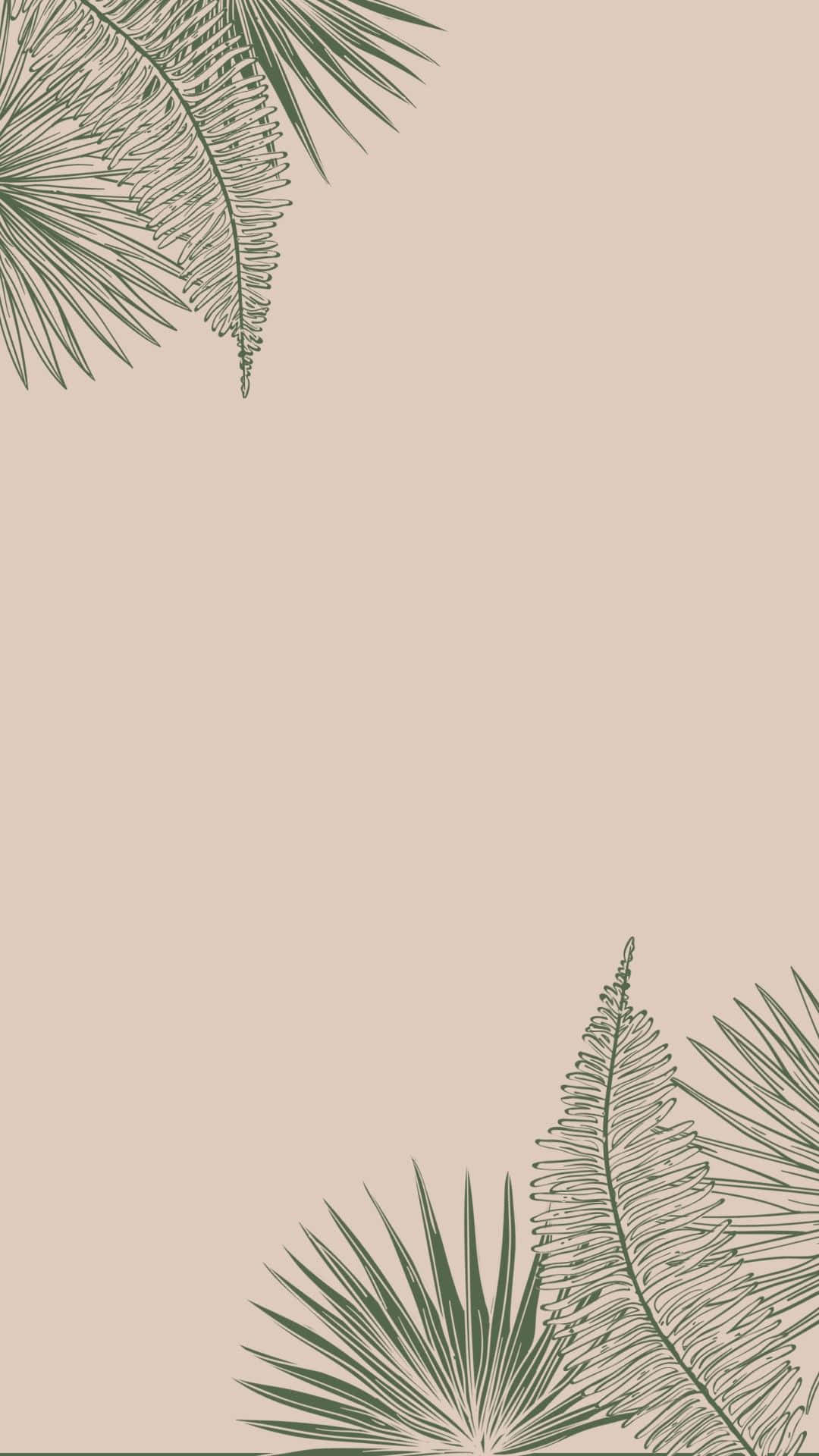 Aesthetic Instagram Palm And Ferns Leaves Background