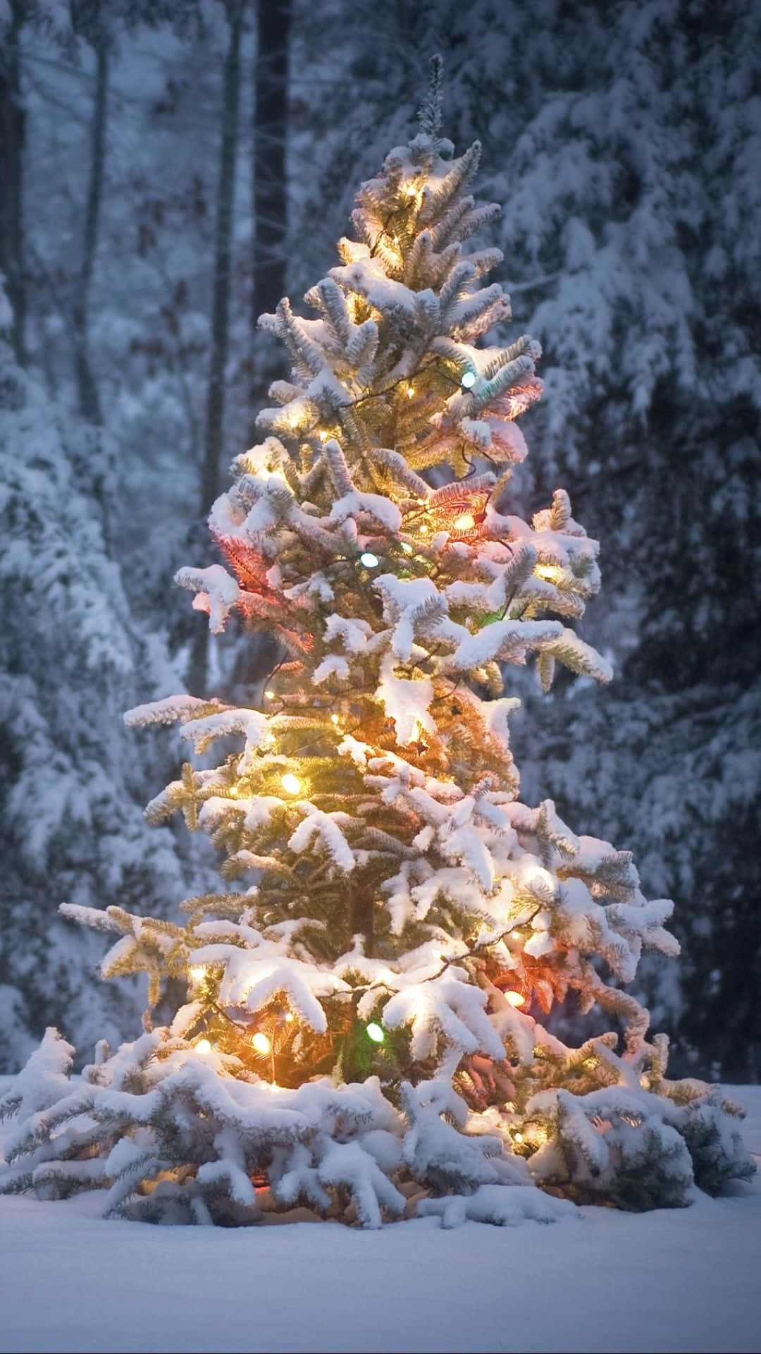 Aesthetic Iphone Christmas Tree Snow Background