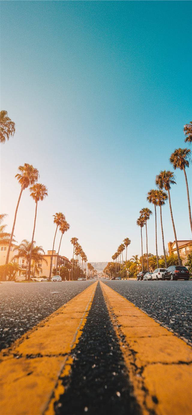 Aesthetic Iphone X Palmed Road Background