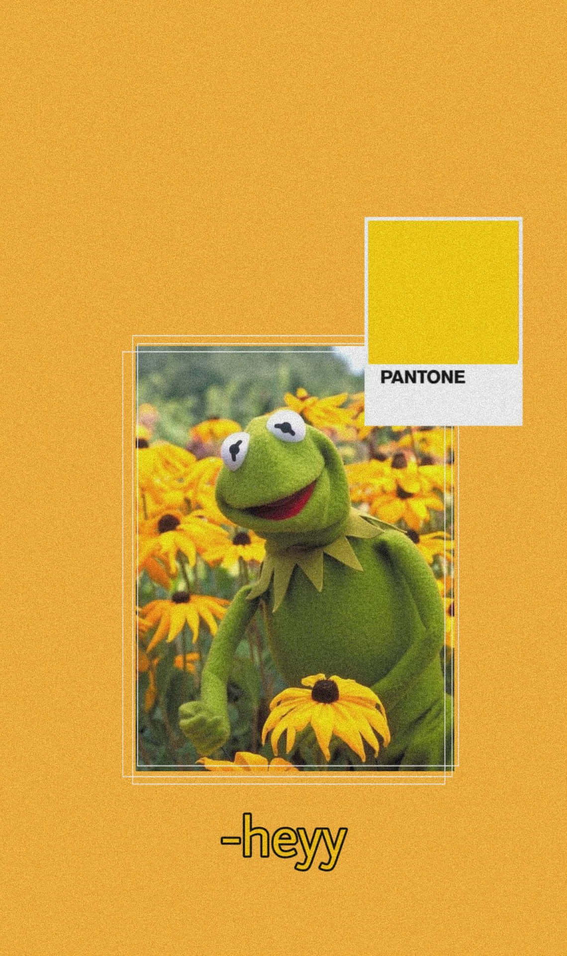 Aesthetic Kermit In Sunflowers Field Background